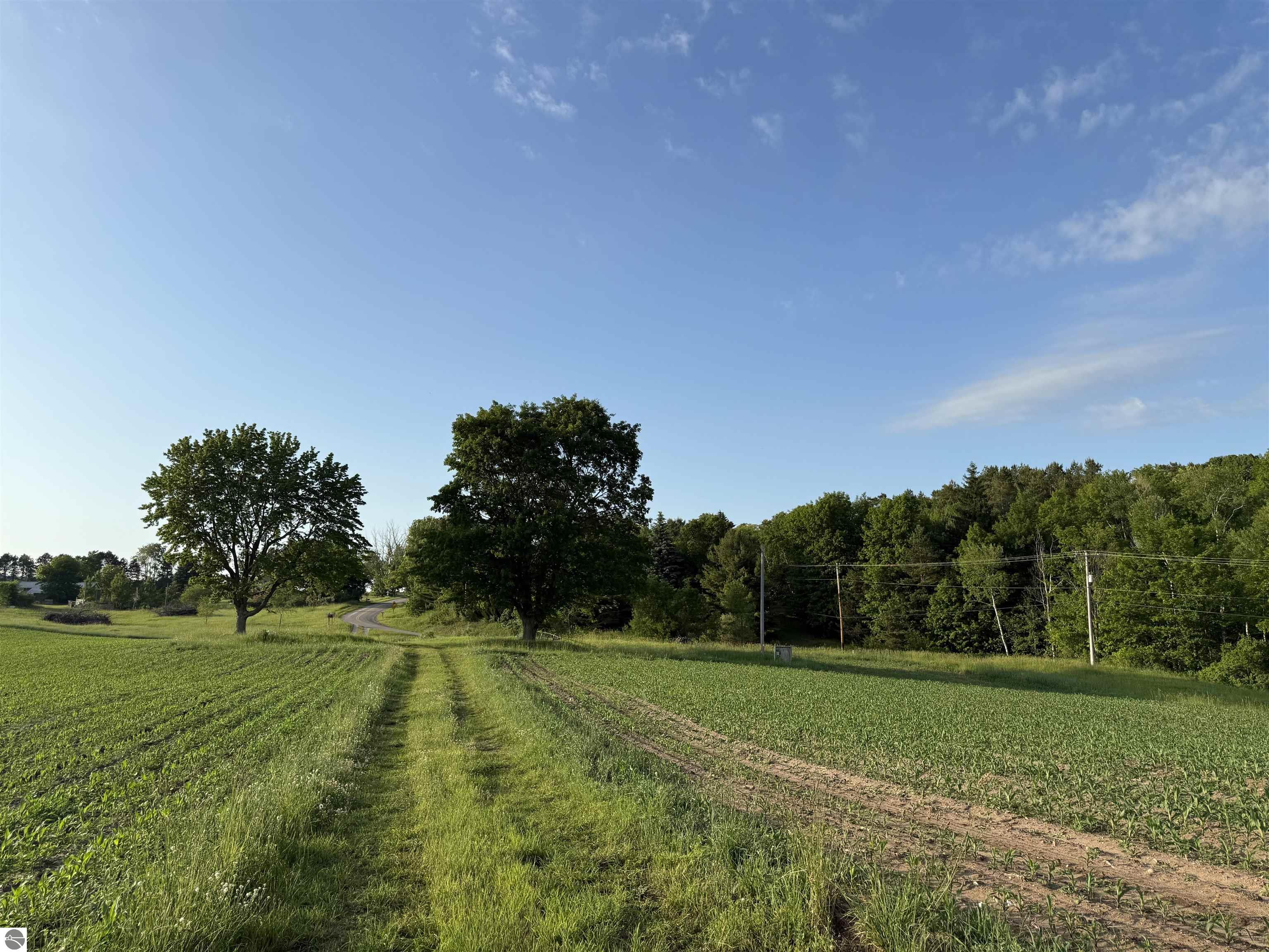 Beulah, Michigan, 49617, United States, ,Land,For Sale,1938552
