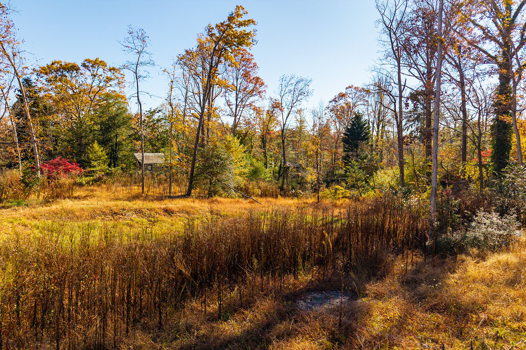  ASHEVILLE - 物件實景