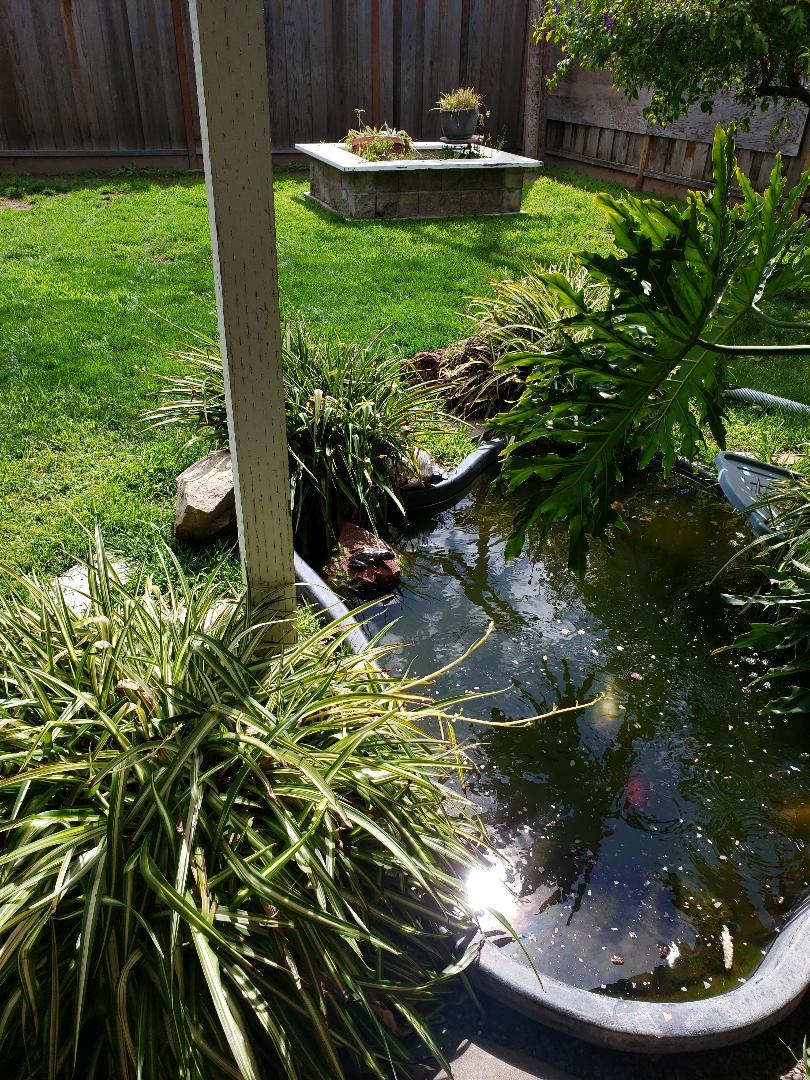 San Jose - Other, California, 95130, United States, 3 Bedrooms Bedrooms, ,2 BathroomsBathrooms,Residential,For Sale,1732979