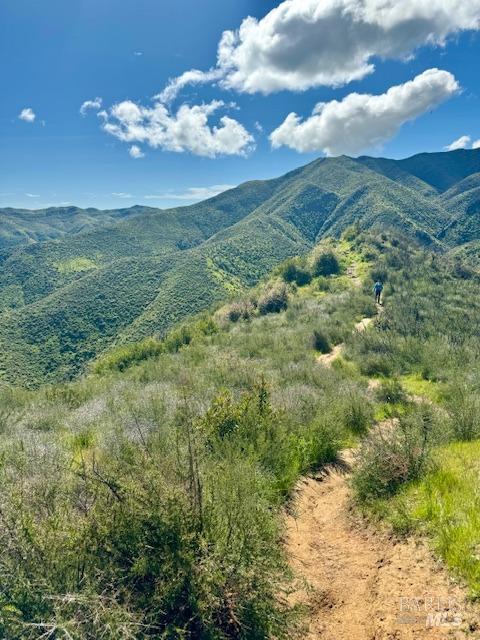 Winters, California, 95694, United States, 4 Bedrooms Bedrooms, ,4 BathroomsBathrooms,Residential,For Sale,1995750