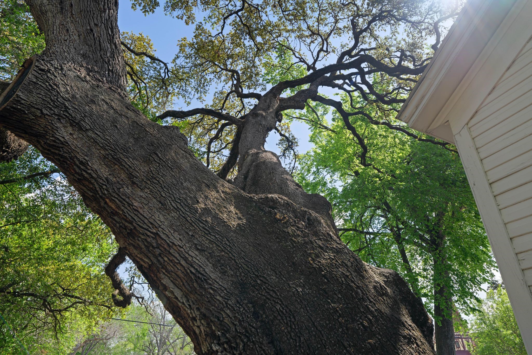  351 E Colorado Street, La Grange, TX, 78945 - 物件實景