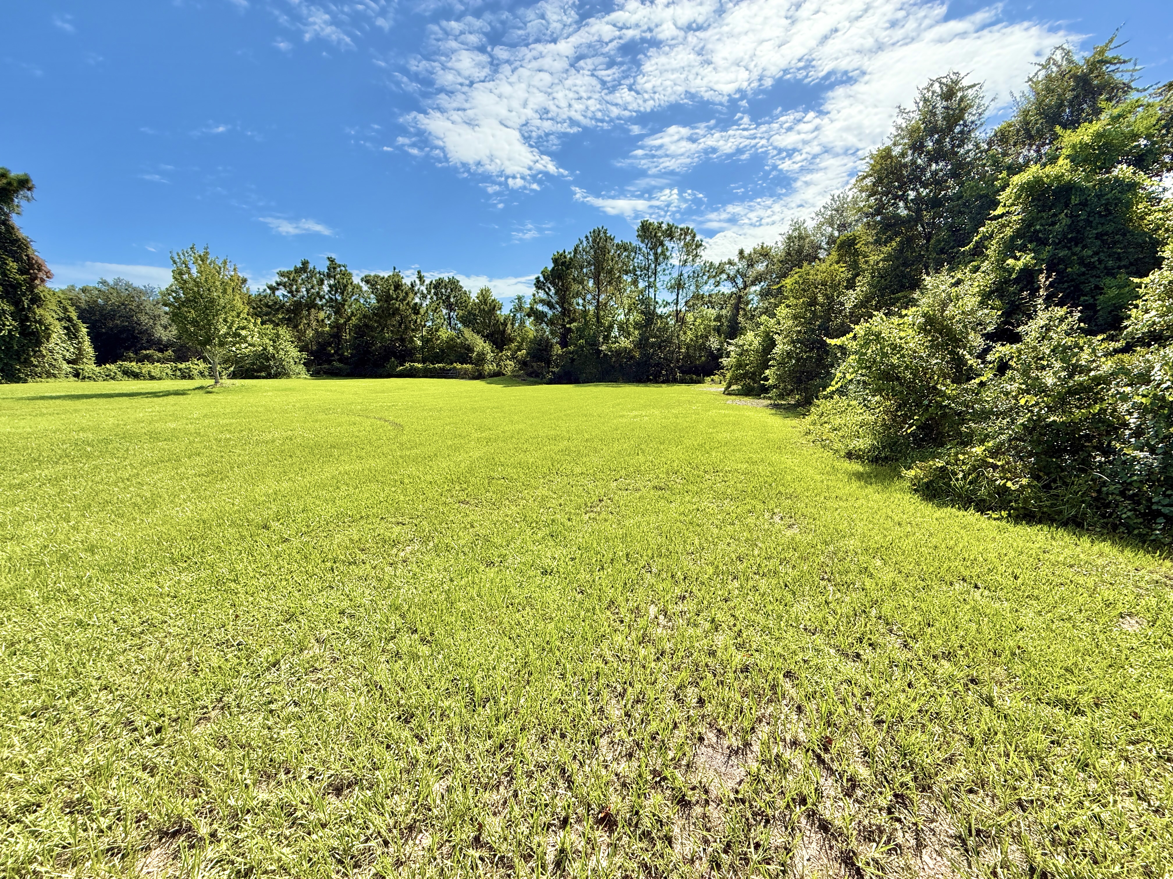 St Cloud, Florida, 34772, United States, 3 Bedrooms Bedrooms, ,2 BathroomsBathrooms,Residential,For Sale,1942635