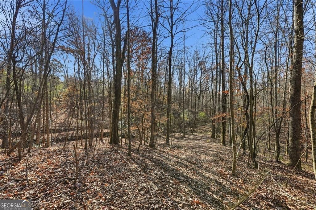 Jasper, Georgia, 30143, United States, ,Land,For Sale,1996551