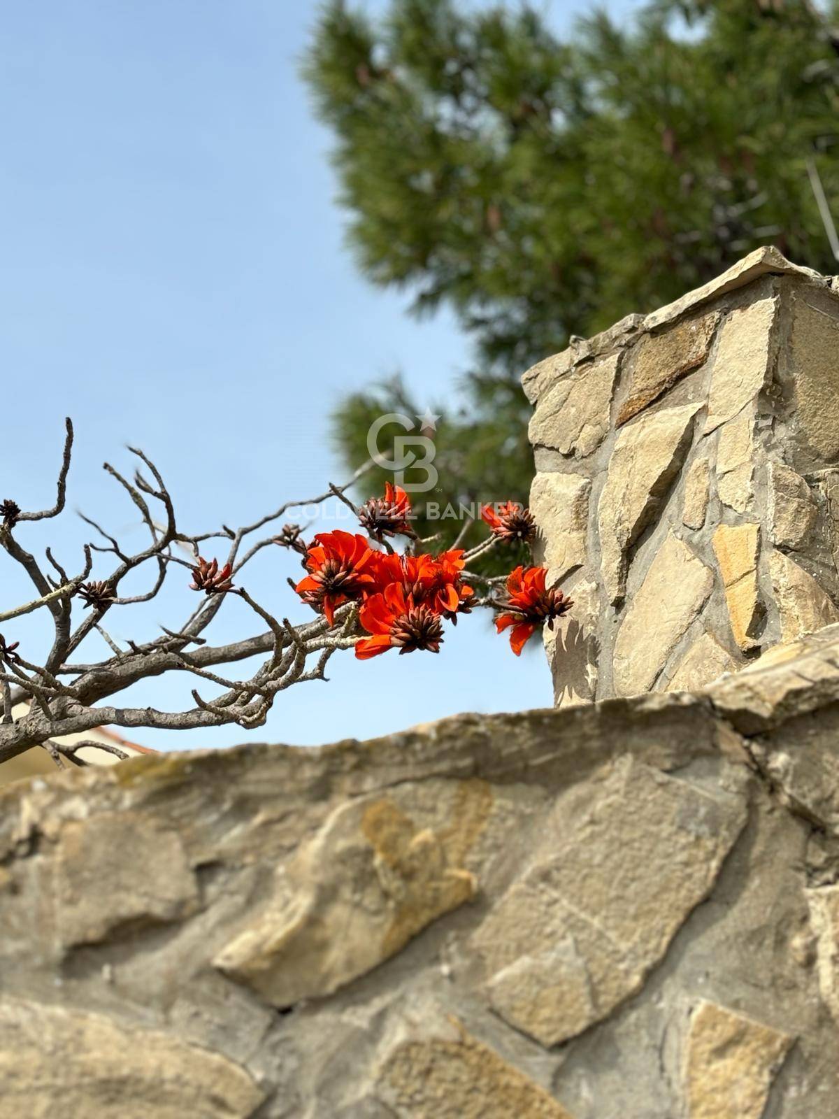 Sciacca, Agrigento, 92019, IT, 6 Bedrooms Bedrooms, ,5 BathroomsBathrooms,Residential,For Sale,1991794