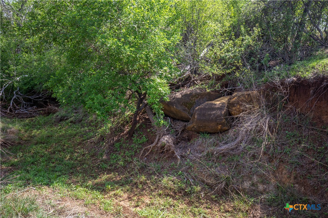 Jourdanton, Texas, 78026, United States, ,Residential,For Sale,1951381