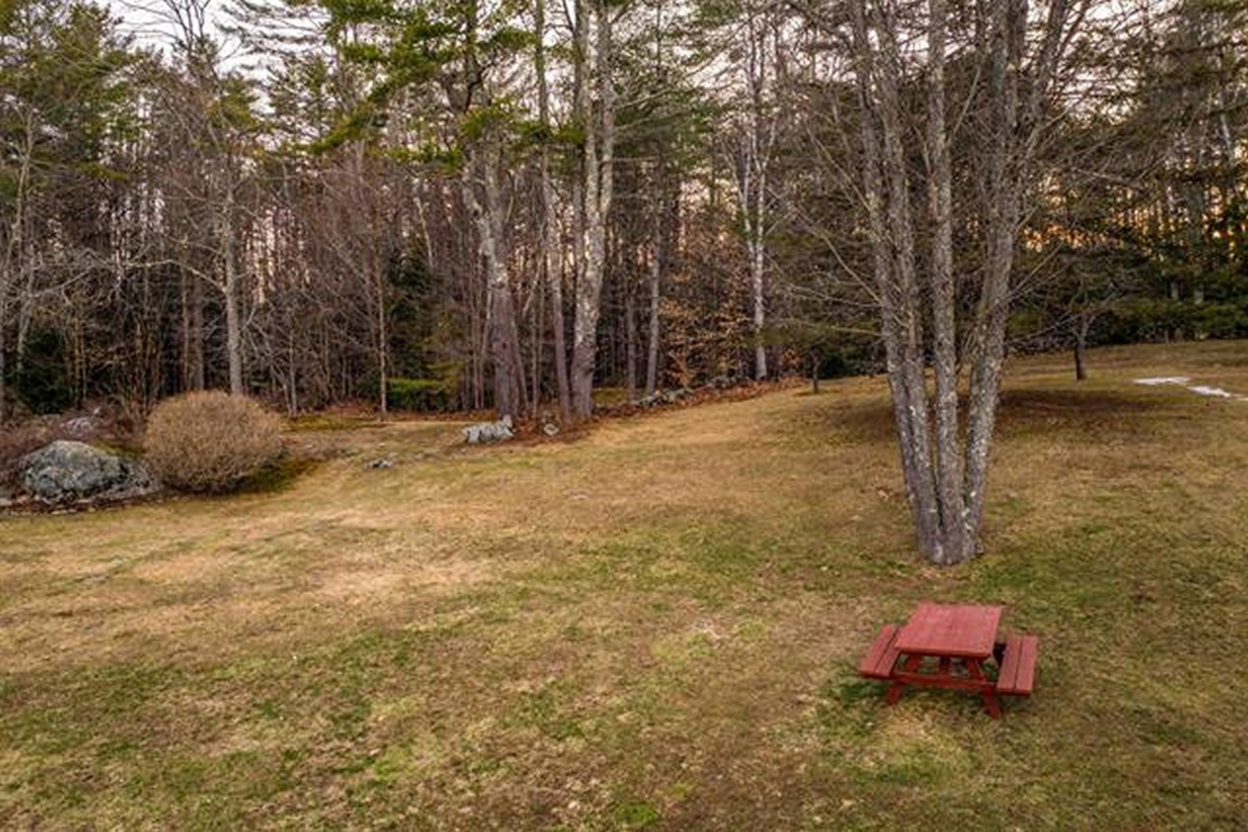  25 Elliot Road - 物件實景