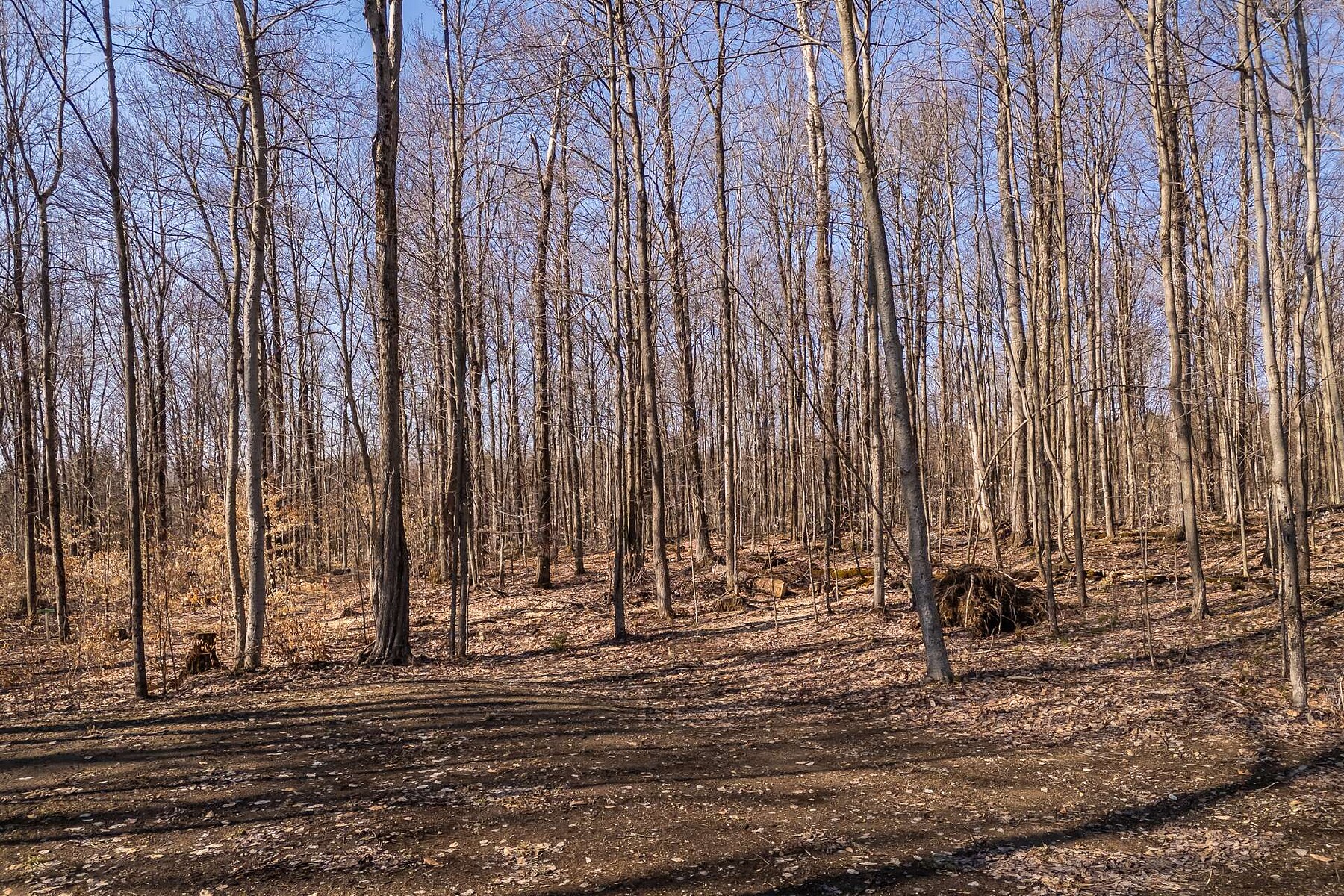  Sutton, Eastern Townships - 物件實景