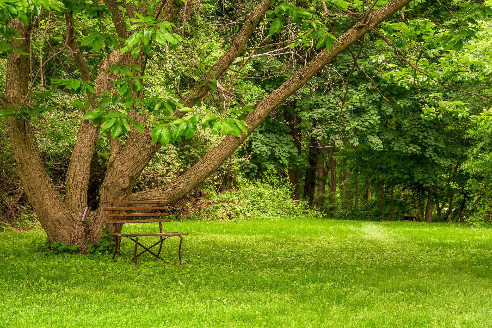  24 Albany Avenue, Kinderhook, NY 12106 - 物件實景