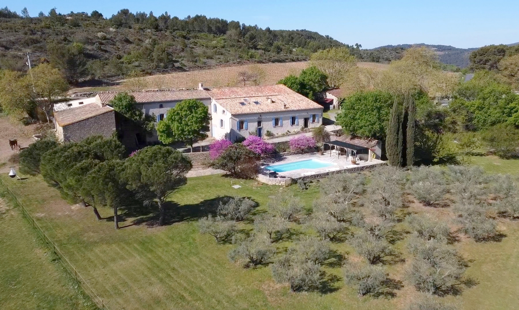  MAGNIFICENT DOMAIN BETWEEN VINEYARDS AND GARRIGUE NEAR PEYRIAC MINERVOIS - 物件實景