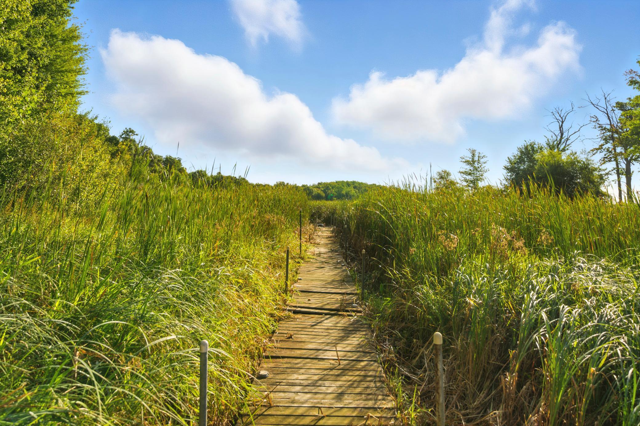 Cambridge, Minnesota, 55008, United States, 4 Bedrooms Bedrooms, ,1 BathroomBathrooms,Residential,For Sale,1963119