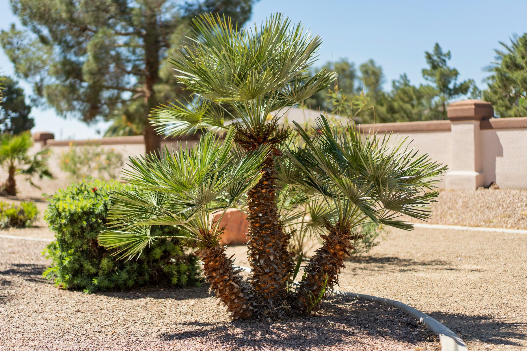  New to Market - 物件實景