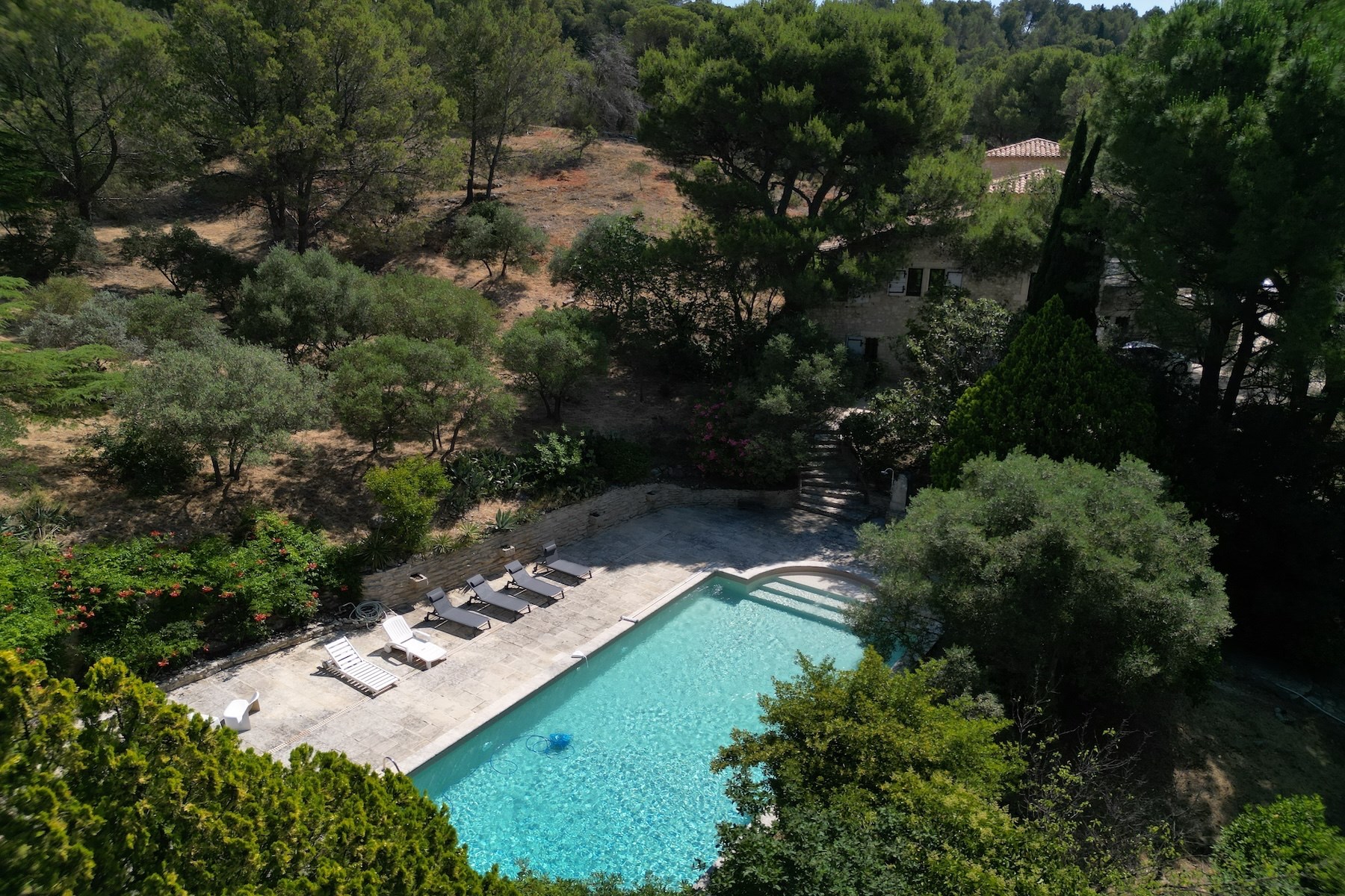  Large Property on 1.5 Hectares with Pool, Just Steps from the Town Center - 物件實景