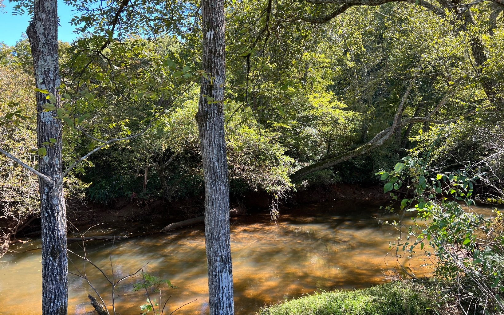 Hayesville, North Carolina, 28904, United States, ,Residential,For Sale,1943293
