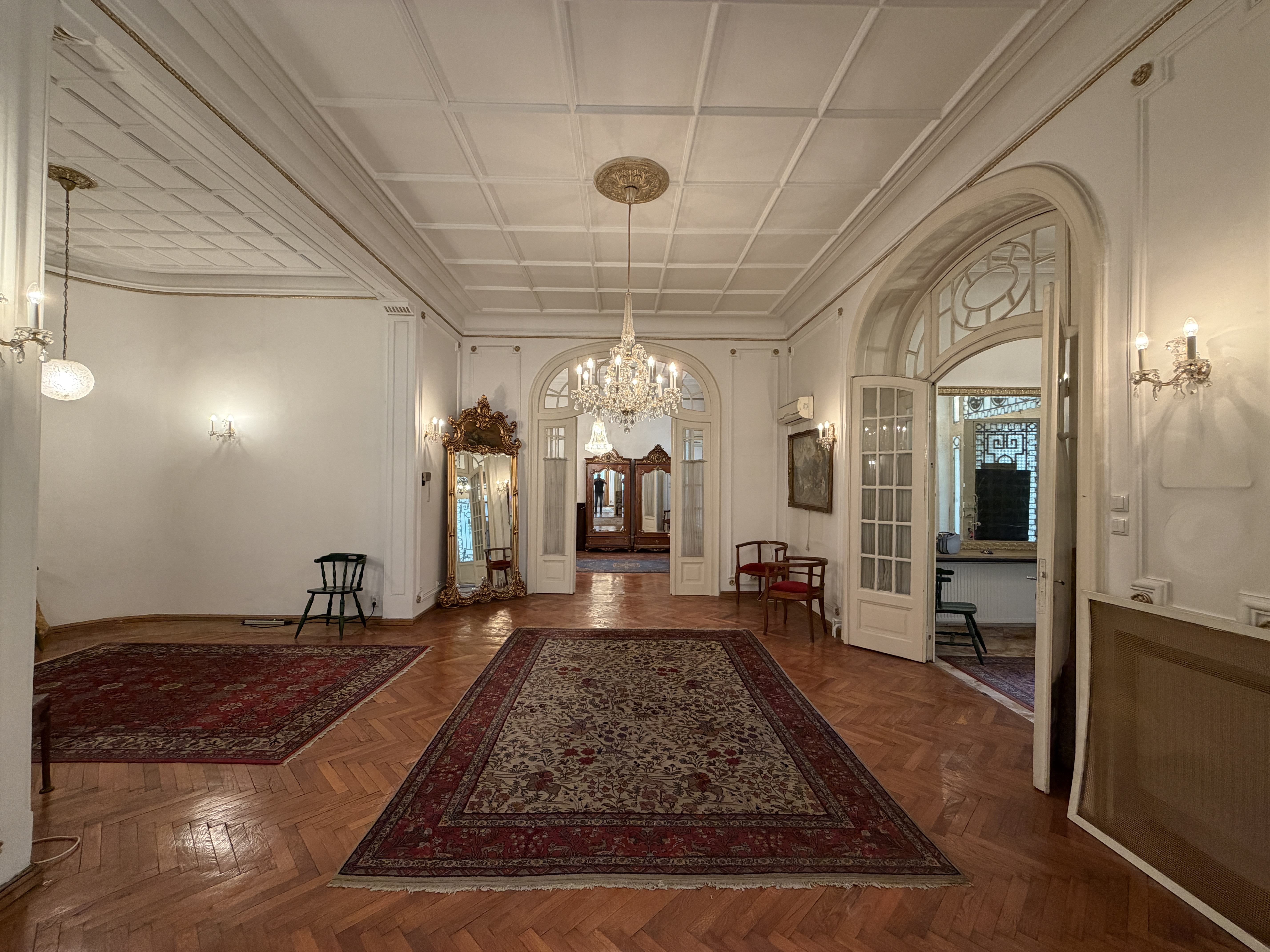  A Collector’s Residence on Kiseleff – The Architectural Legacy of Burcu & Marcu - 物件實景