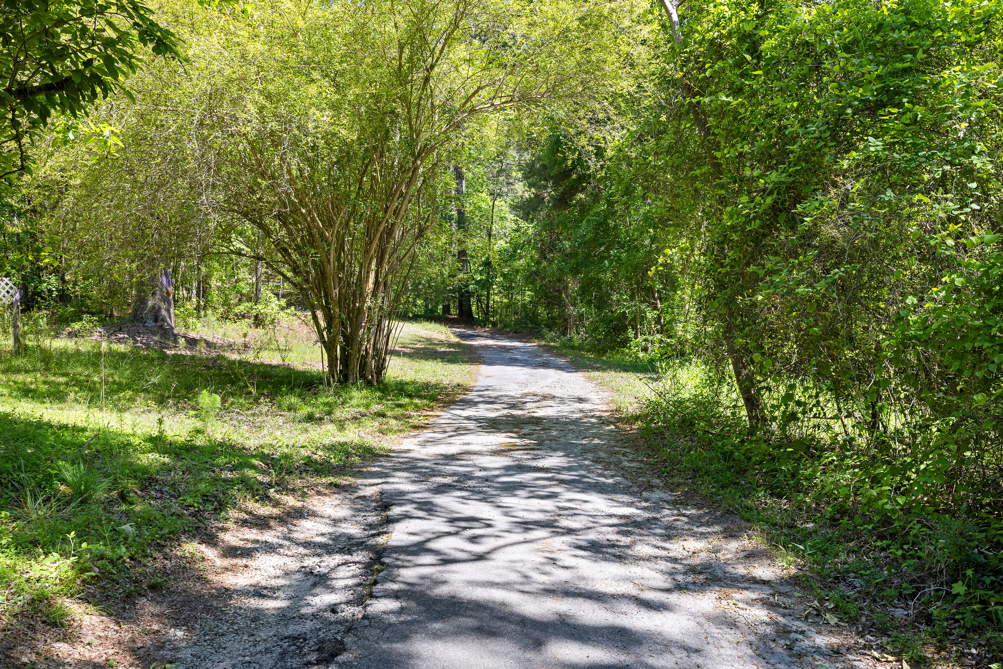  A Perfect Blend of Privacy and Natural Beauty in Newnan - 物件實景