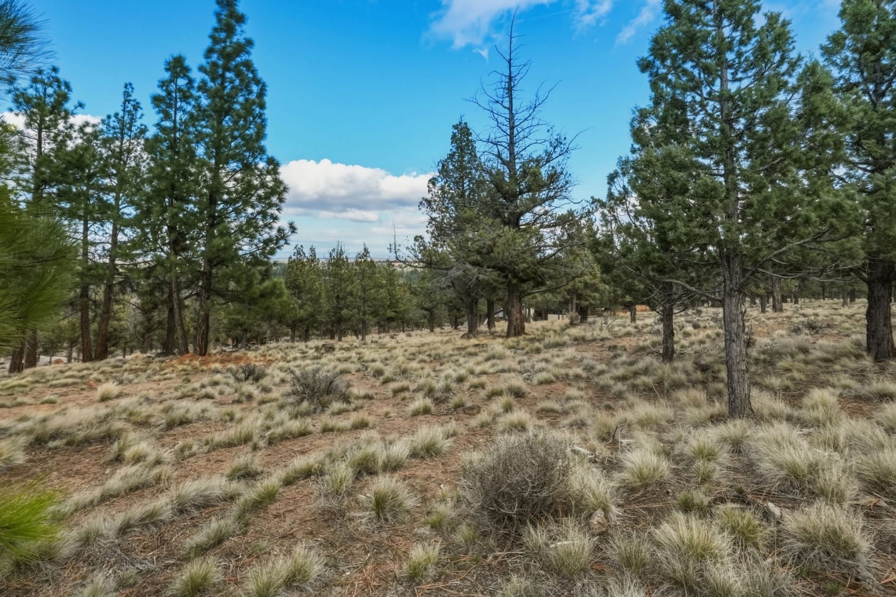 1560 NW Wild Rye Circle Bend, OR 97703 - 物件實景