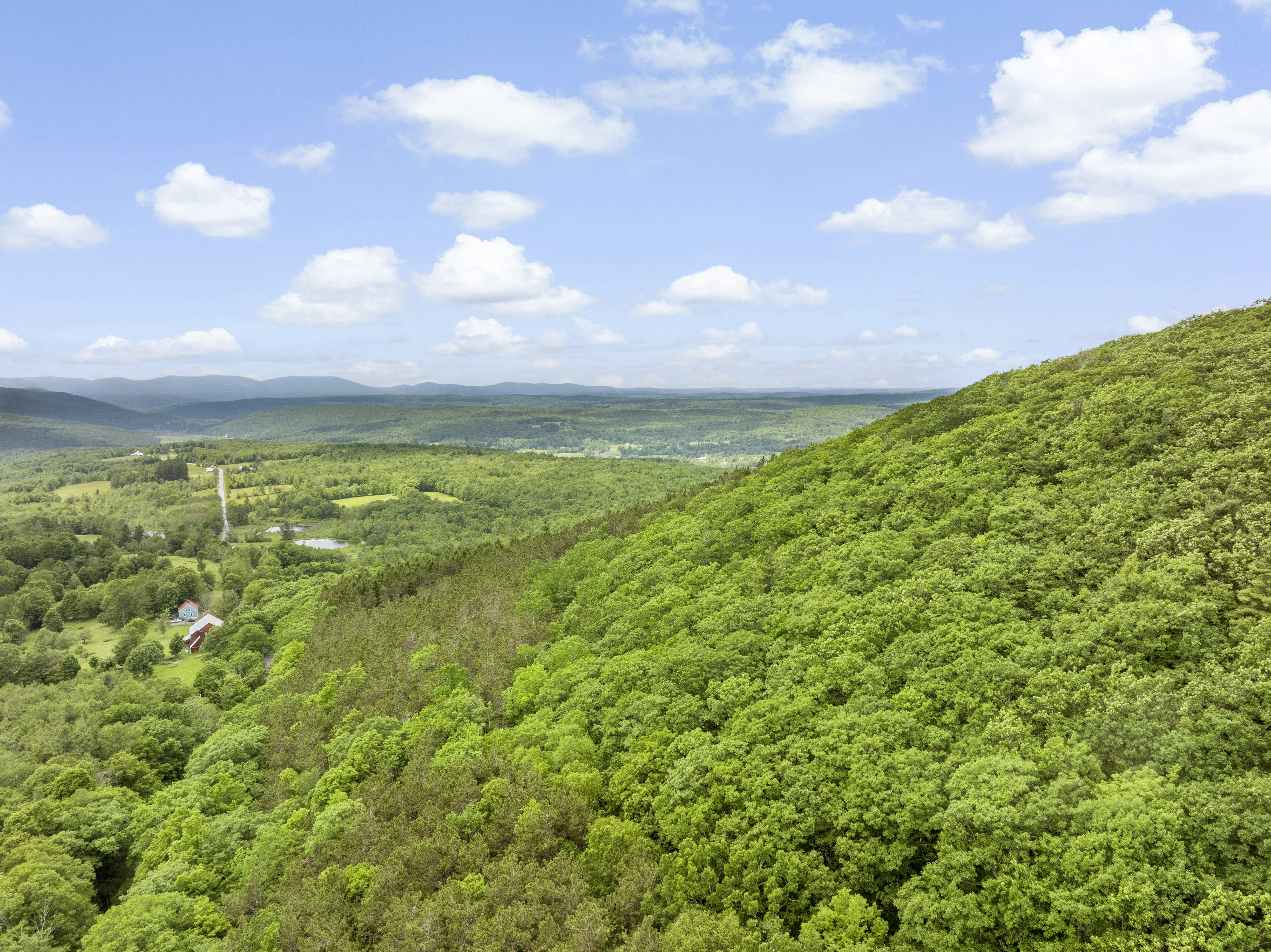  L3 Durham Road, Conesville, NY, 12076 - 物件實景