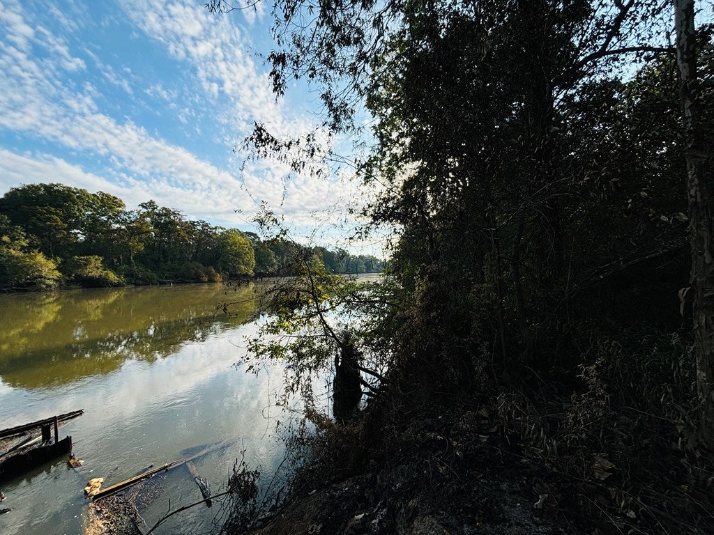 Abbeville, Georgia, 31001, United States, ,Land,For Sale,1975130