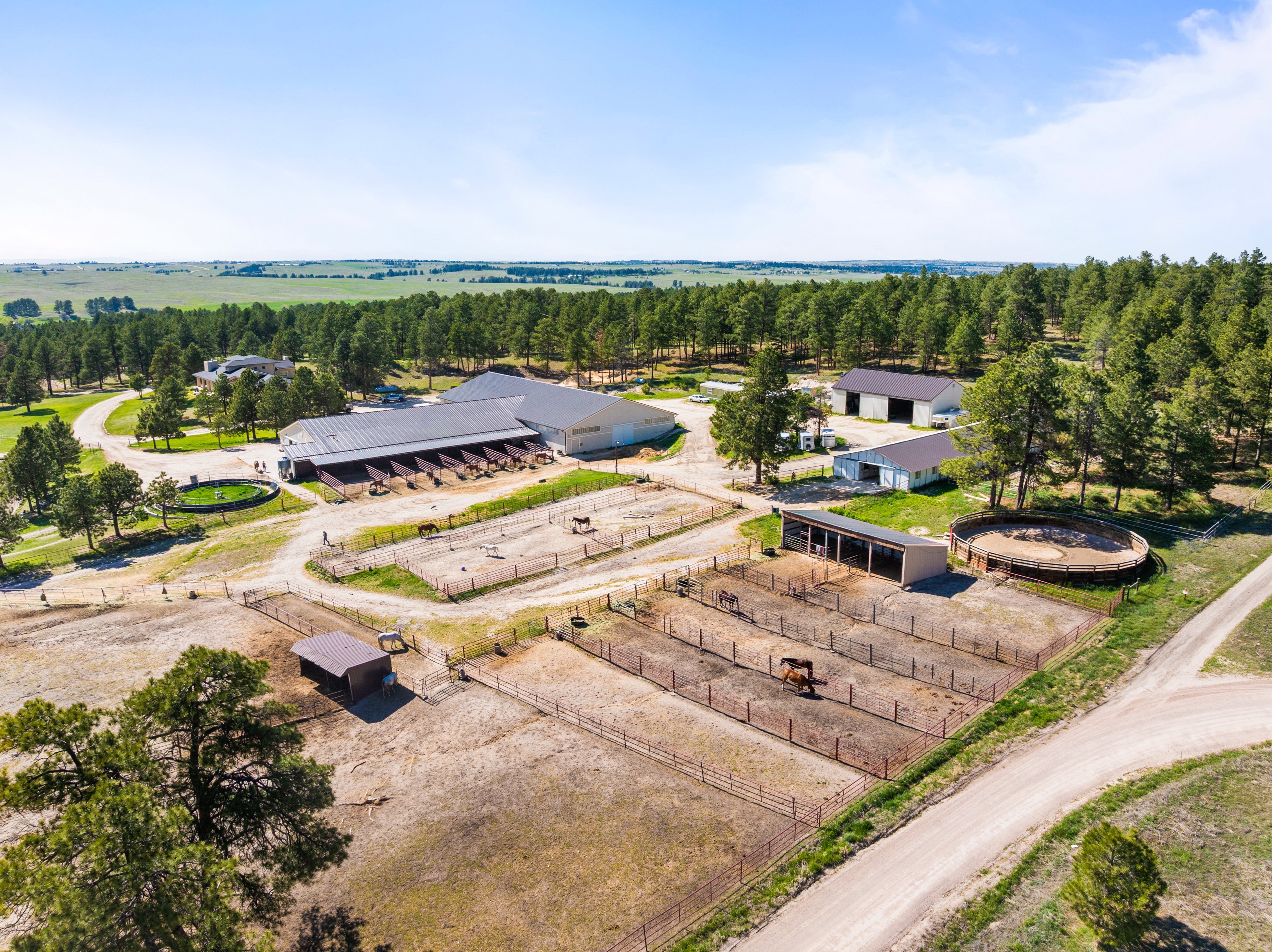 Discovery Farm: 157 Acres of Mid-Century Design and Equestrian Excellence - 物件實景