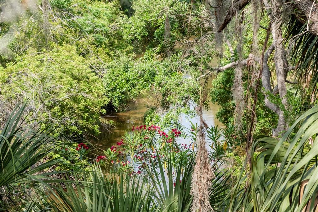 Dunedin, Florida, 34698, United States, 4 Bedrooms Bedrooms, ,5 BathroomsBathrooms,Residential,For Sale,1987490