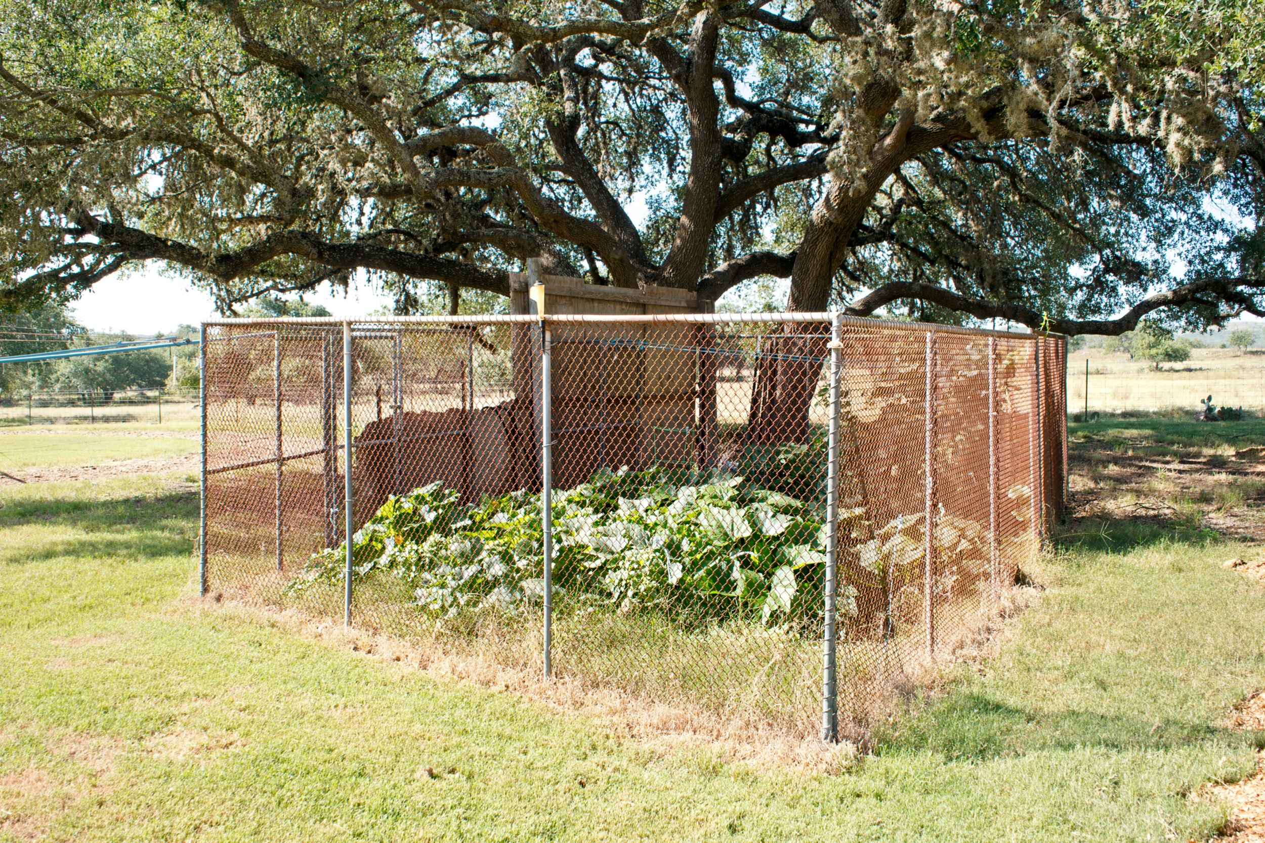  Uballe Ranch in Blanco County - 物件實景