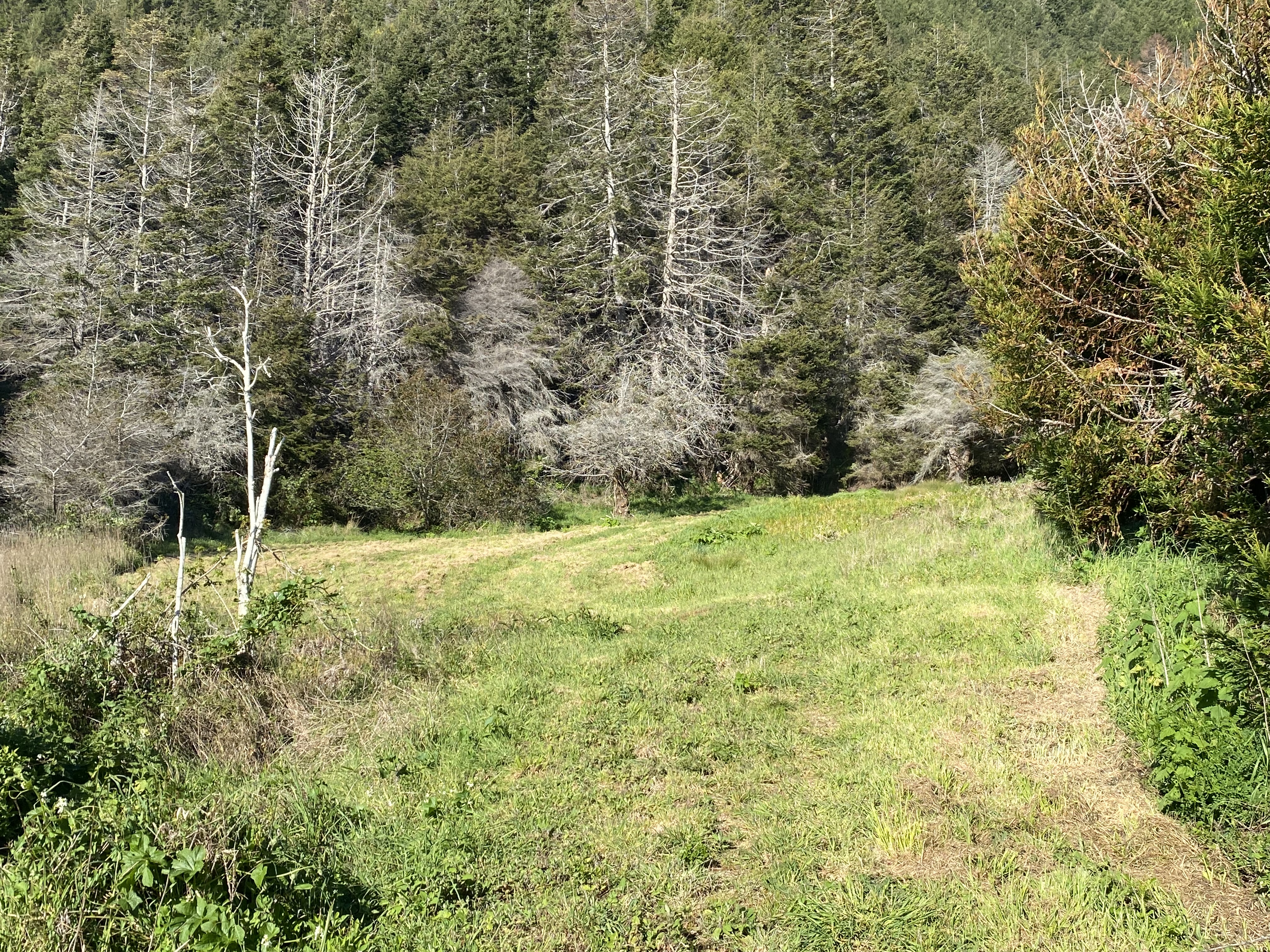  20-Acre Ocean View Parcel - 物件實景