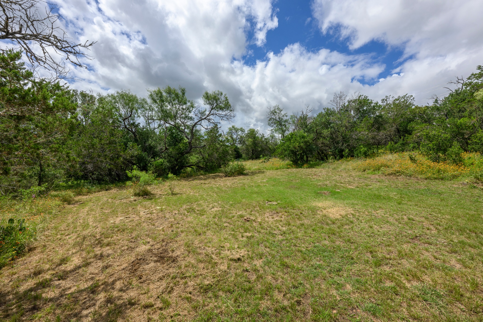  16 Acres in Spicewood - 物件實景