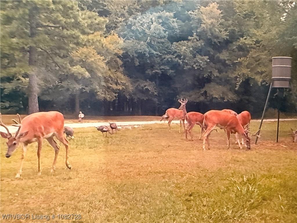 McCurtain, Oklahoma, 74944, United States, 3 Bedrooms Bedrooms, ,2 BathroomsBathrooms,Residential,For Sale,1977810