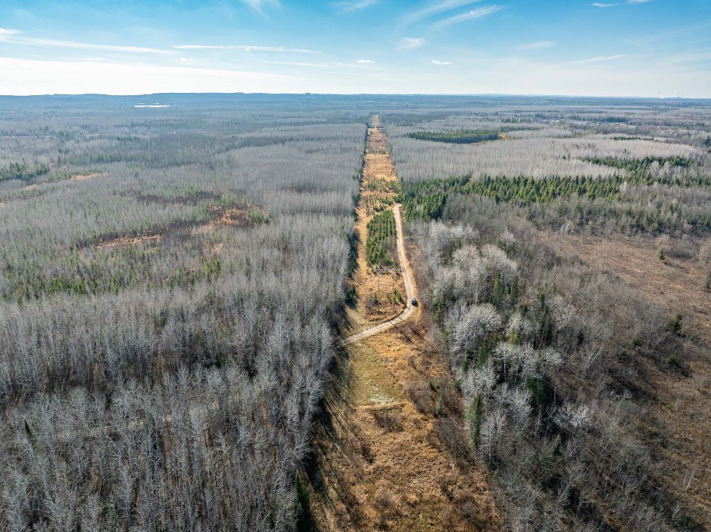 Grand Rapids, Minnesota, 55744, United States, ,Land,For Sale,1983791