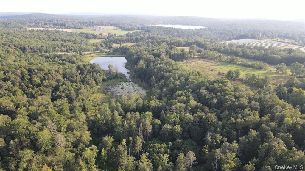 Monticello, New York, 12701, United States, ,Land,For Sale,1979428