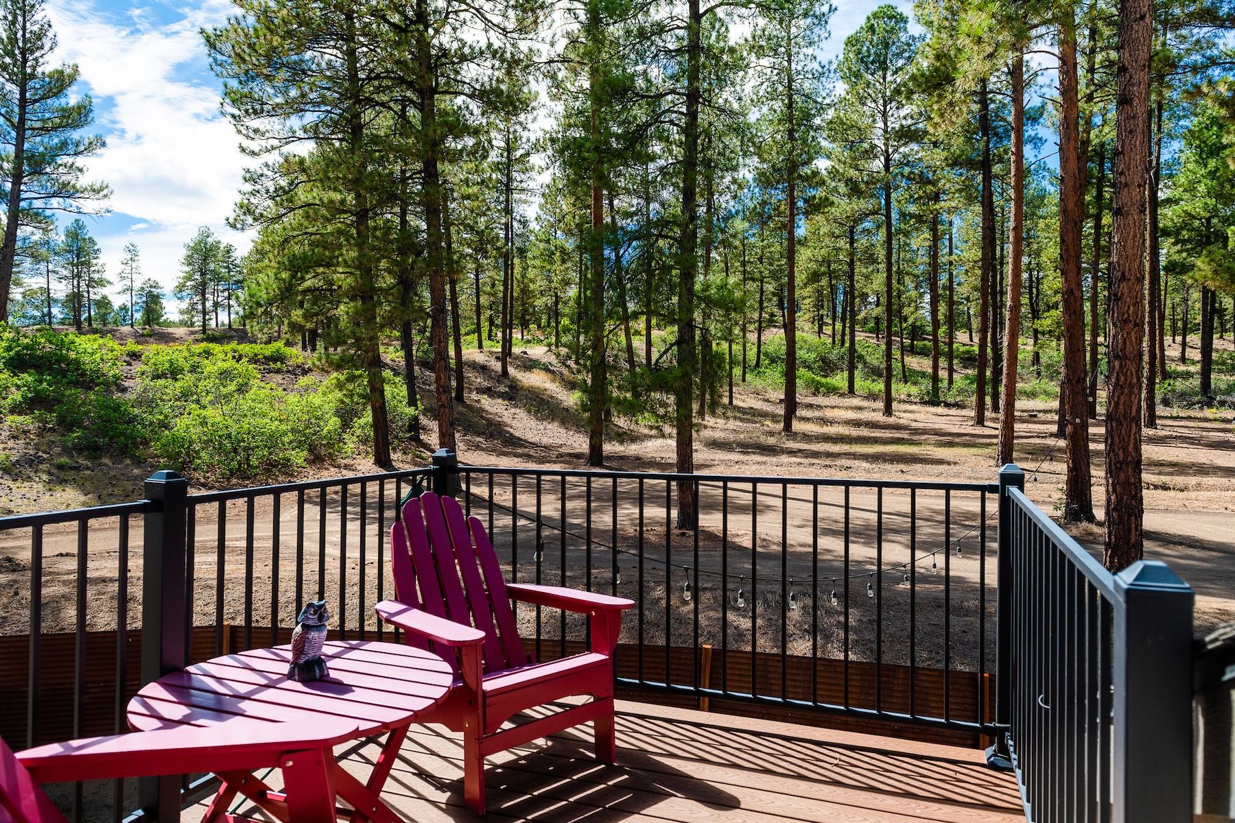  540 Bald Eagle Road, Bayfield, CO 81122 - 物件實景