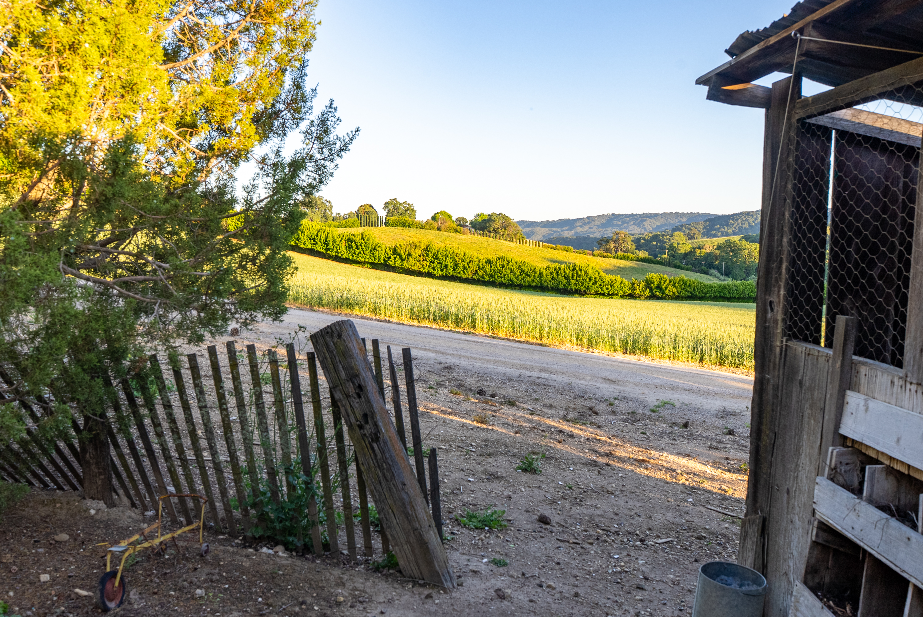  5250 & 5260 - 物件實景
