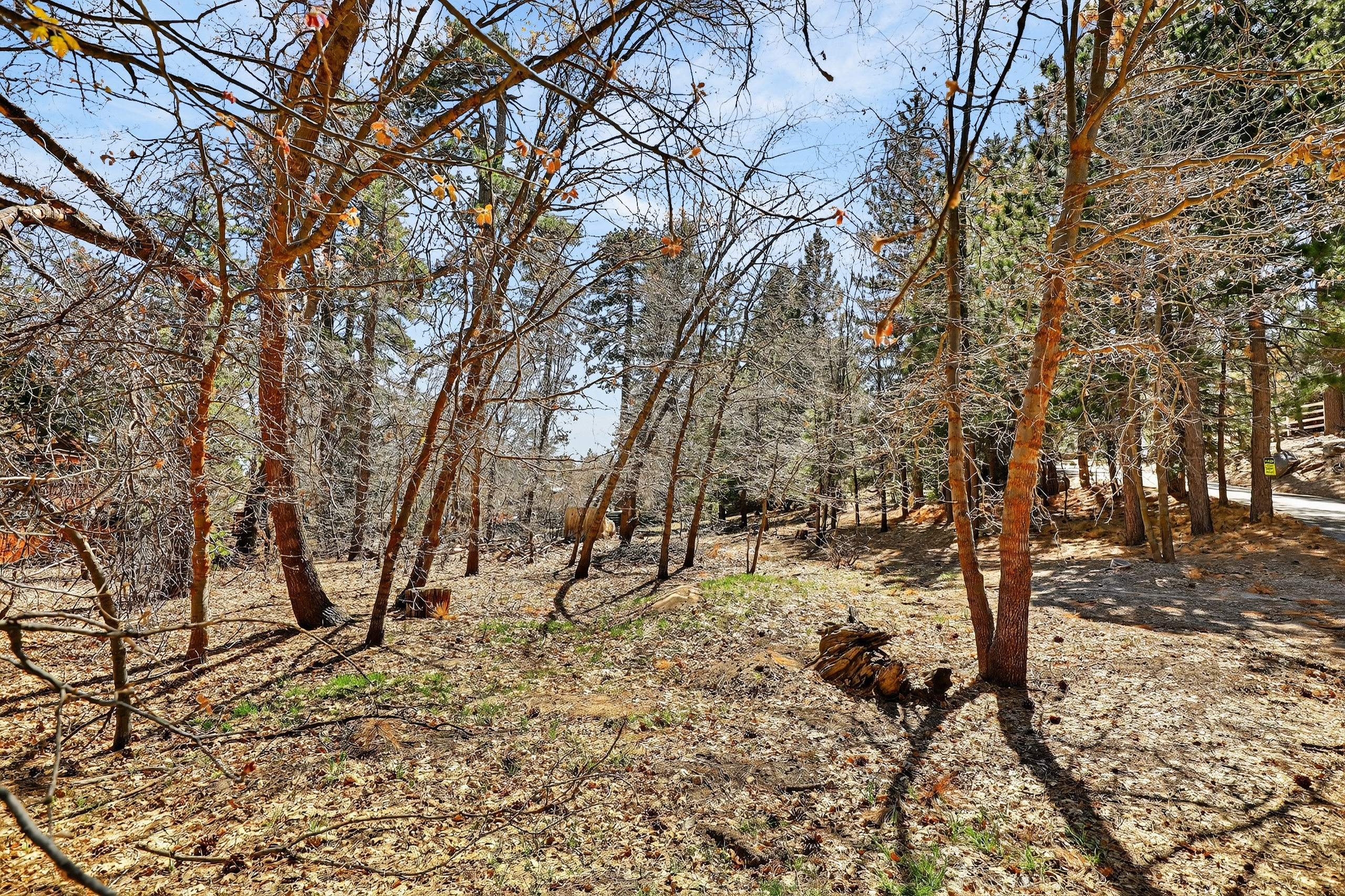  0 Cepu Rd, Running Springs , CA 92382 - 物件實景