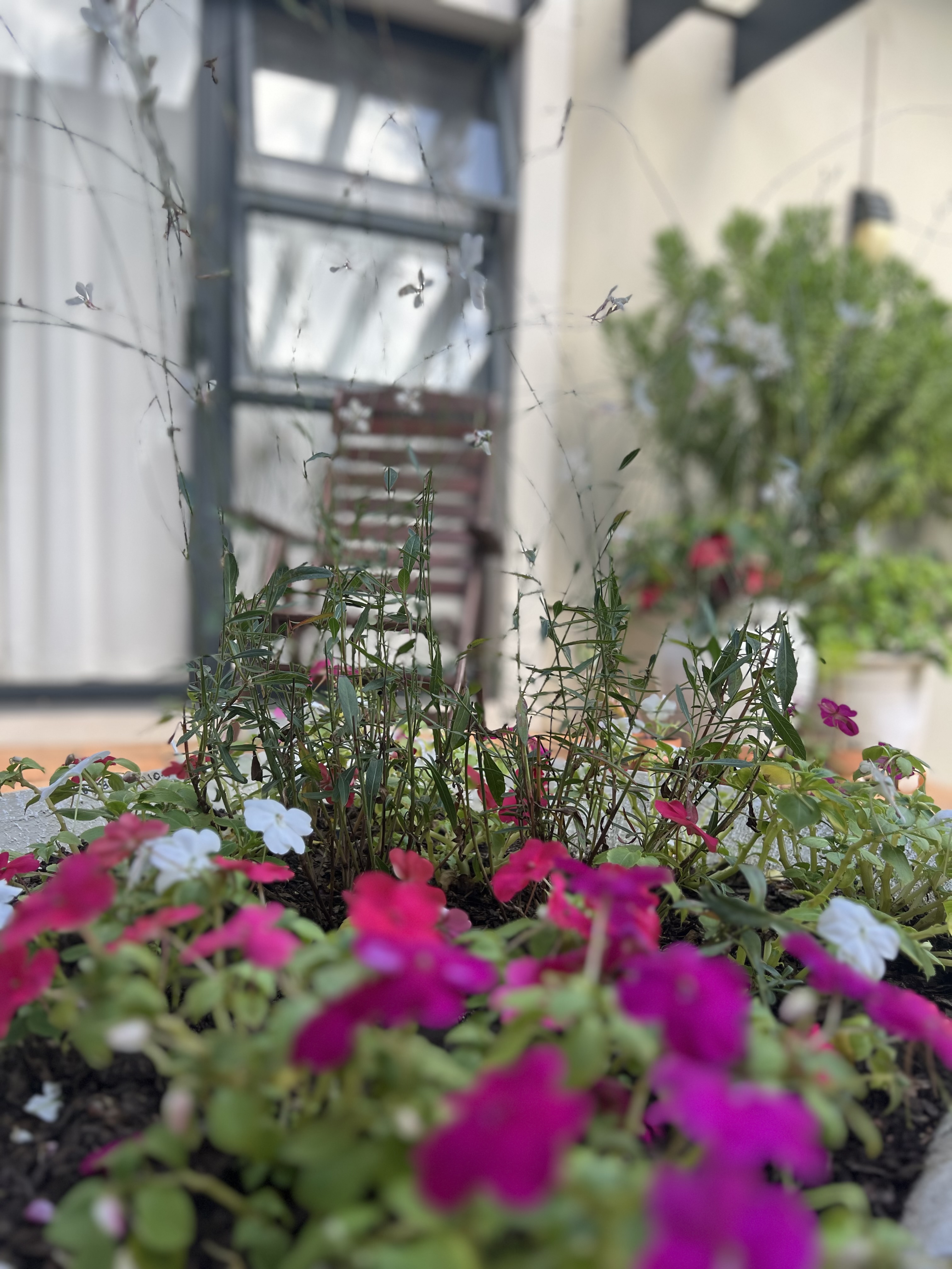  Meticulously maintained home with thoughtfully curated living spaces - 物件實景