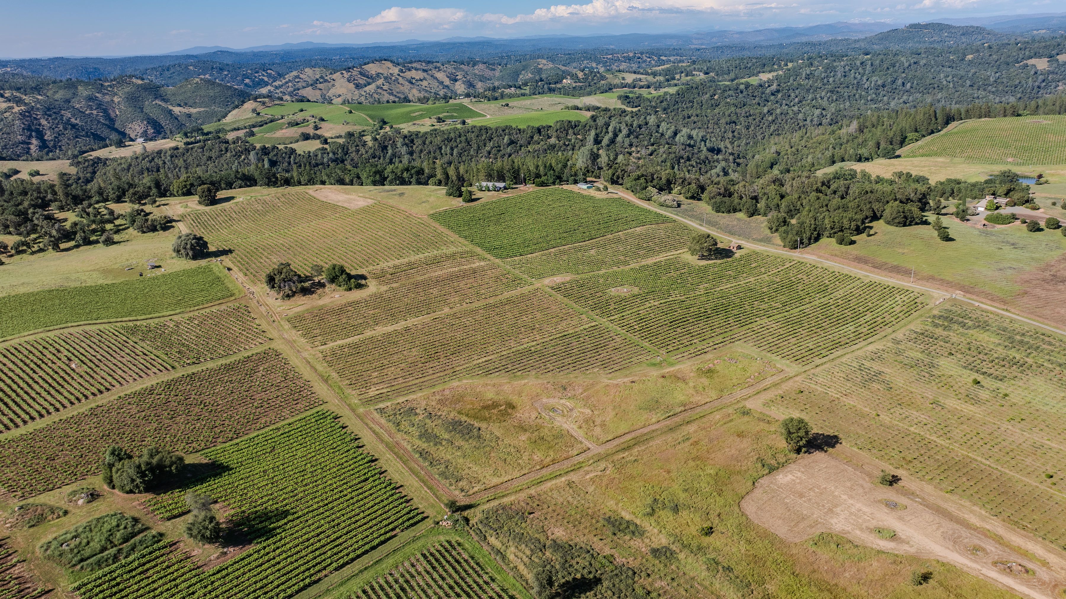  12551 Steiner Road, Plymouth, CA 95669 - 物件實景