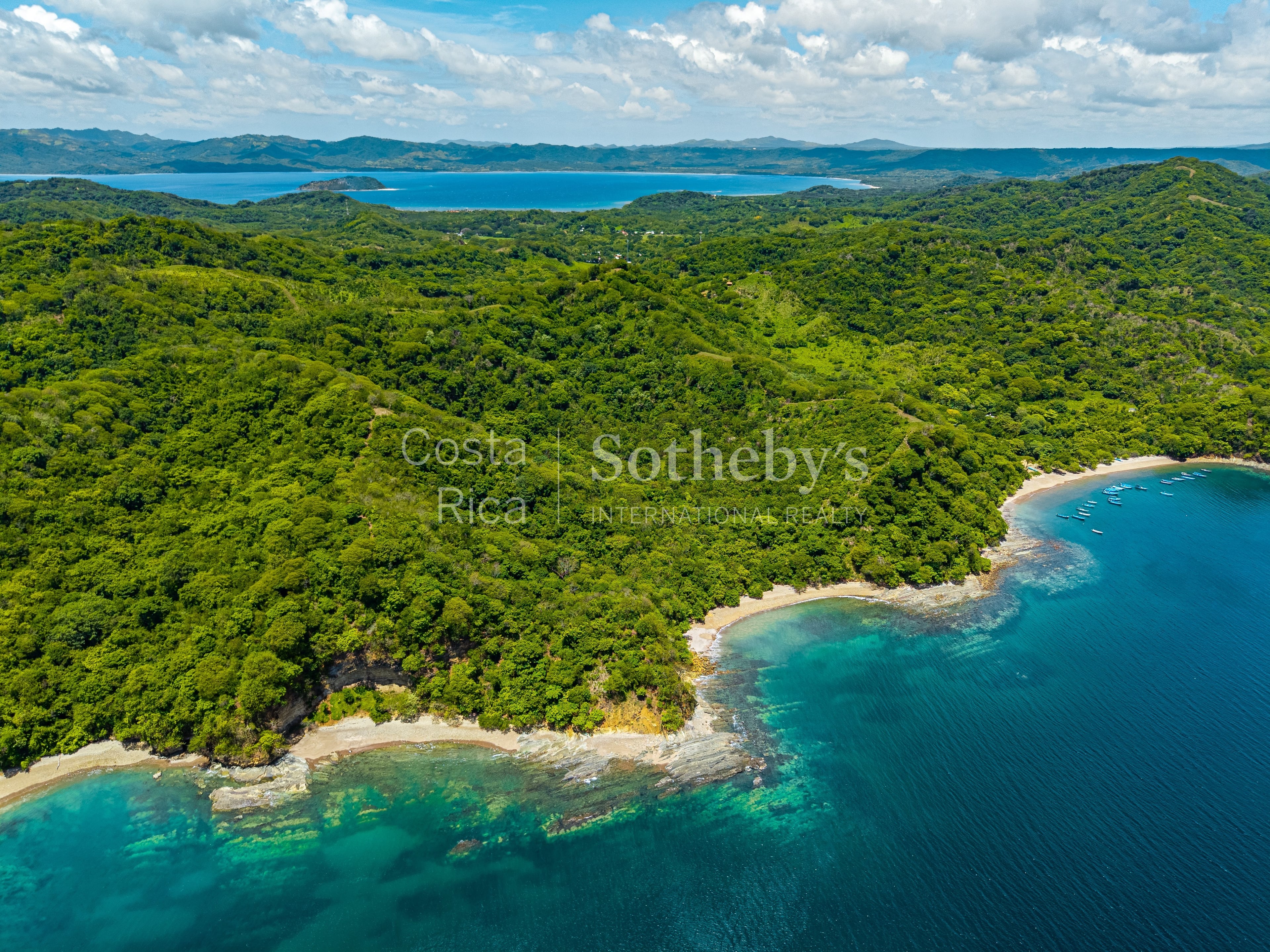  The Cove - 物件實景