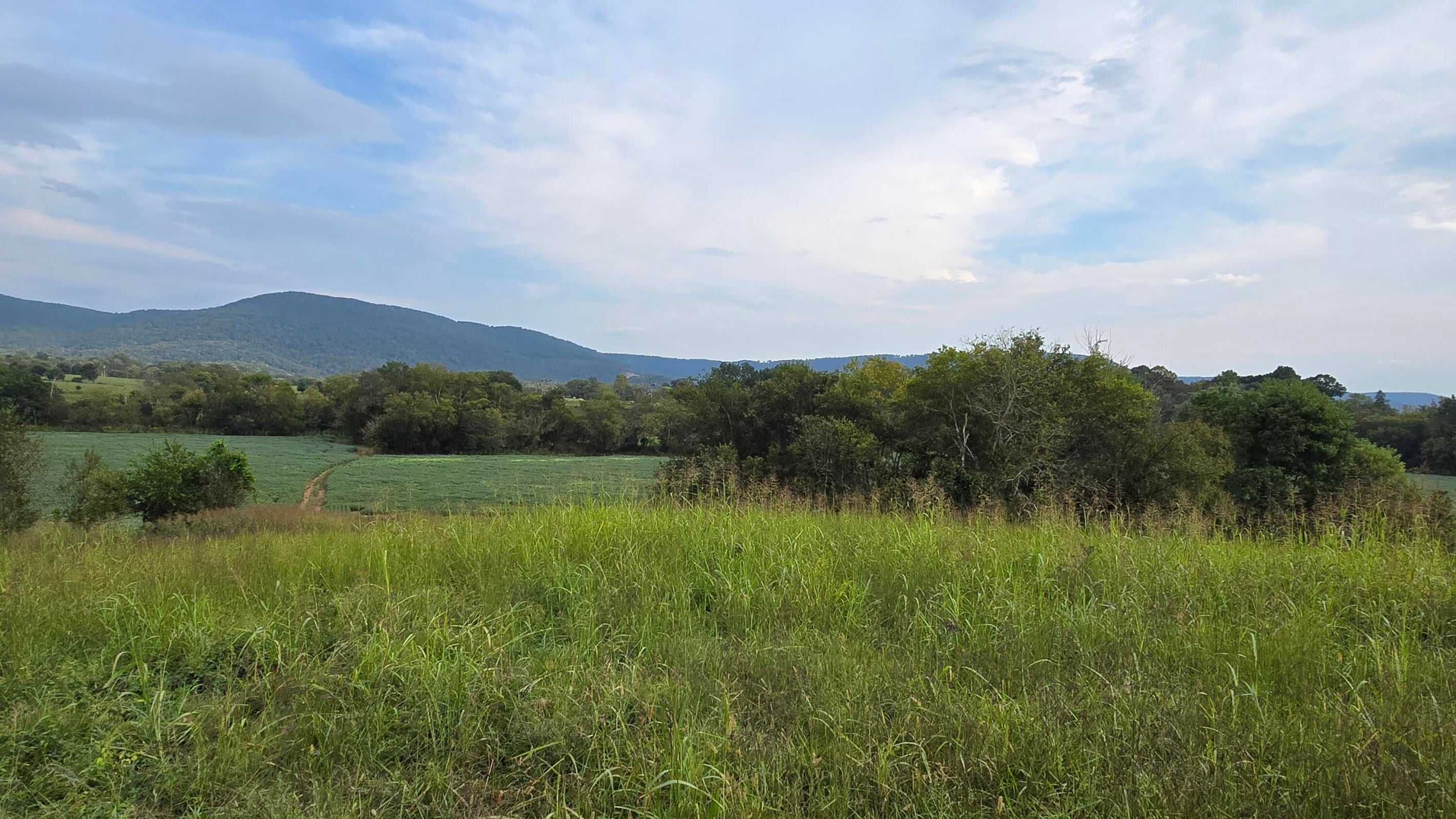 Pikeville, Tennessee, 37367, United States, ,Land,For Sale,1978902