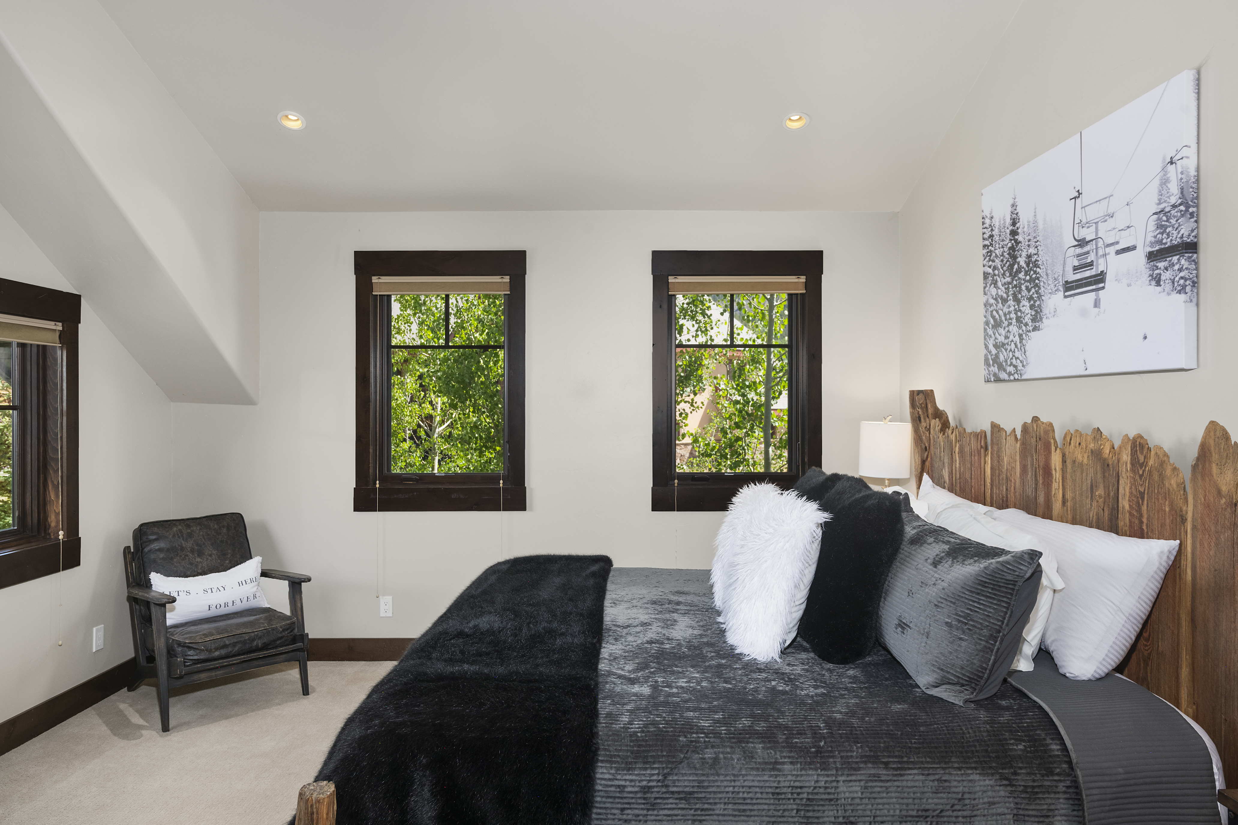  330 Larkspur Loop, Crested Butte, CO 81224 - 物件實景
