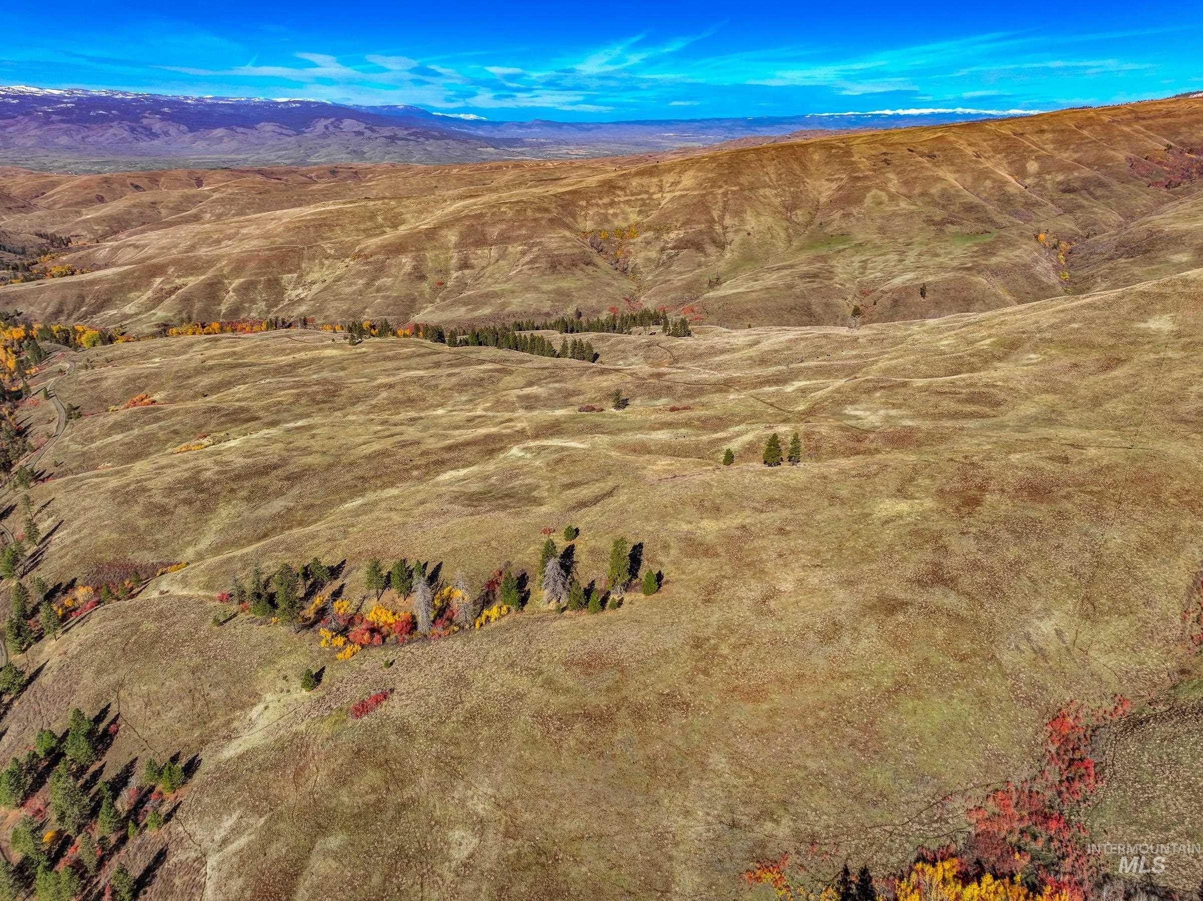 Council, Idaho, 83612, United States, ,Land,For Sale,1981211