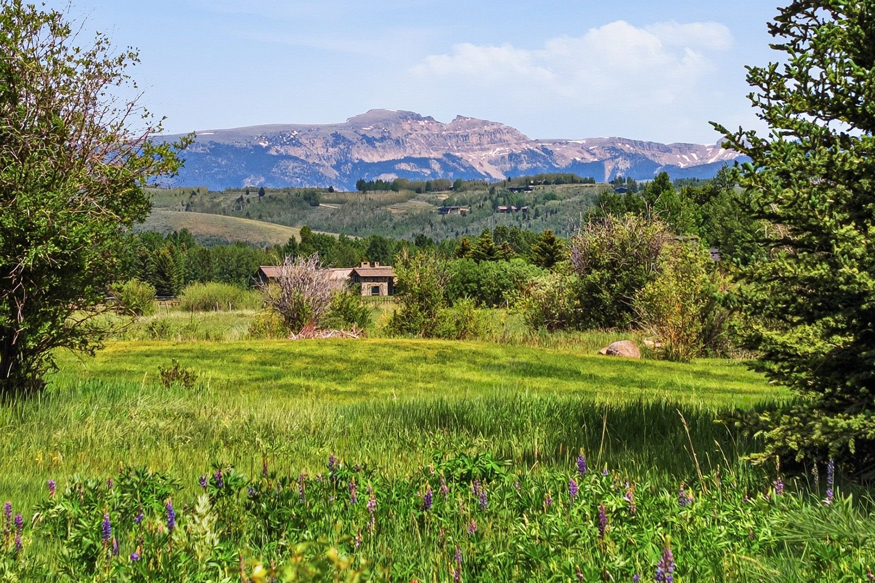  Trapper Lodge on Fish Creek - 物件實景