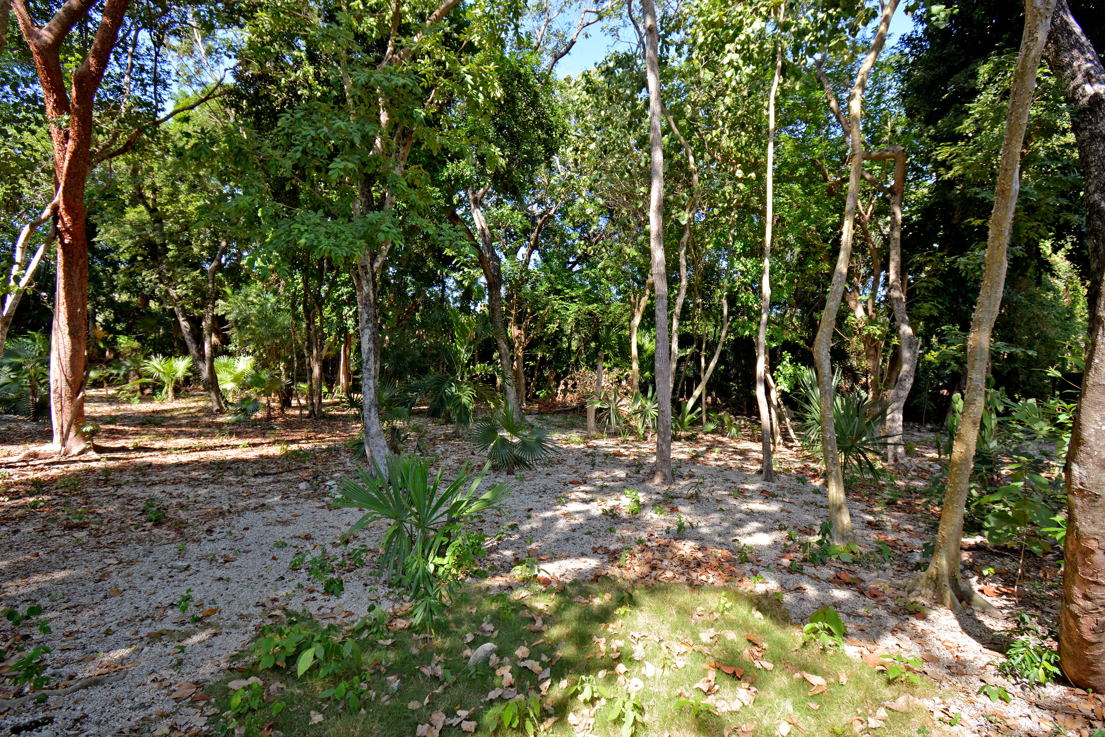  RESIDENTIAL LOT - 物件實景