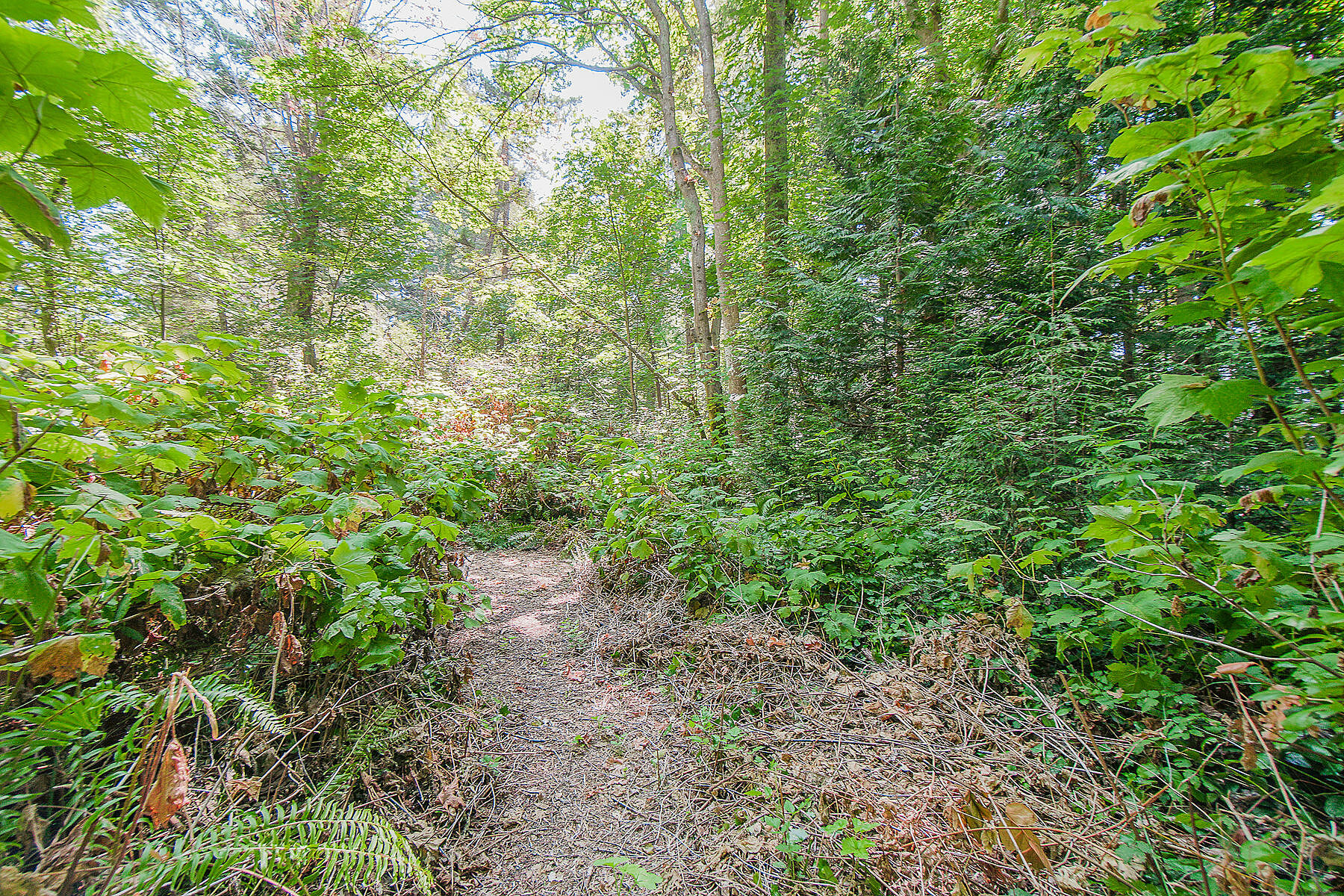  West Vancouver, Greater Vancouver - 物件實景