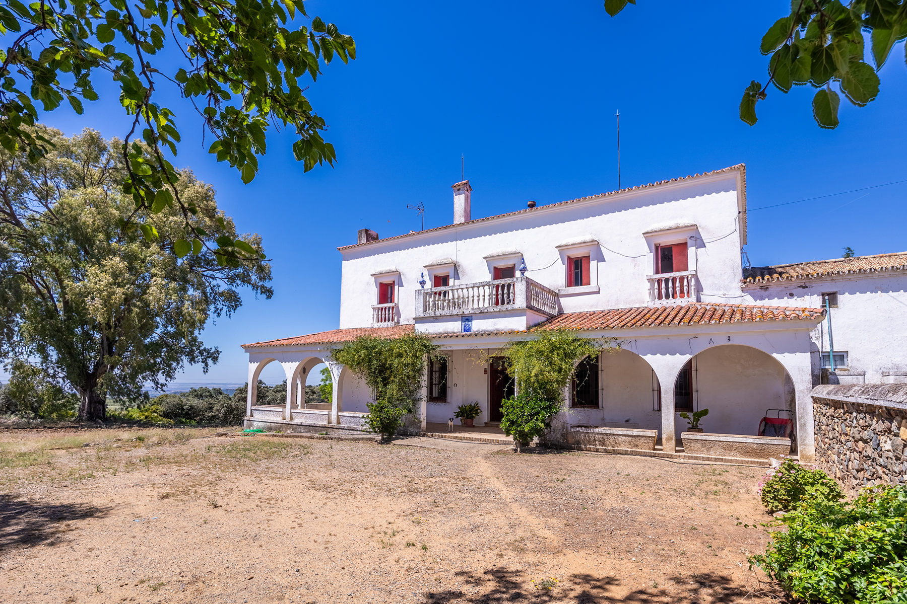  Livestock, hunting, and recreational estate in Castiblanco de los Arroyos - 物件實景