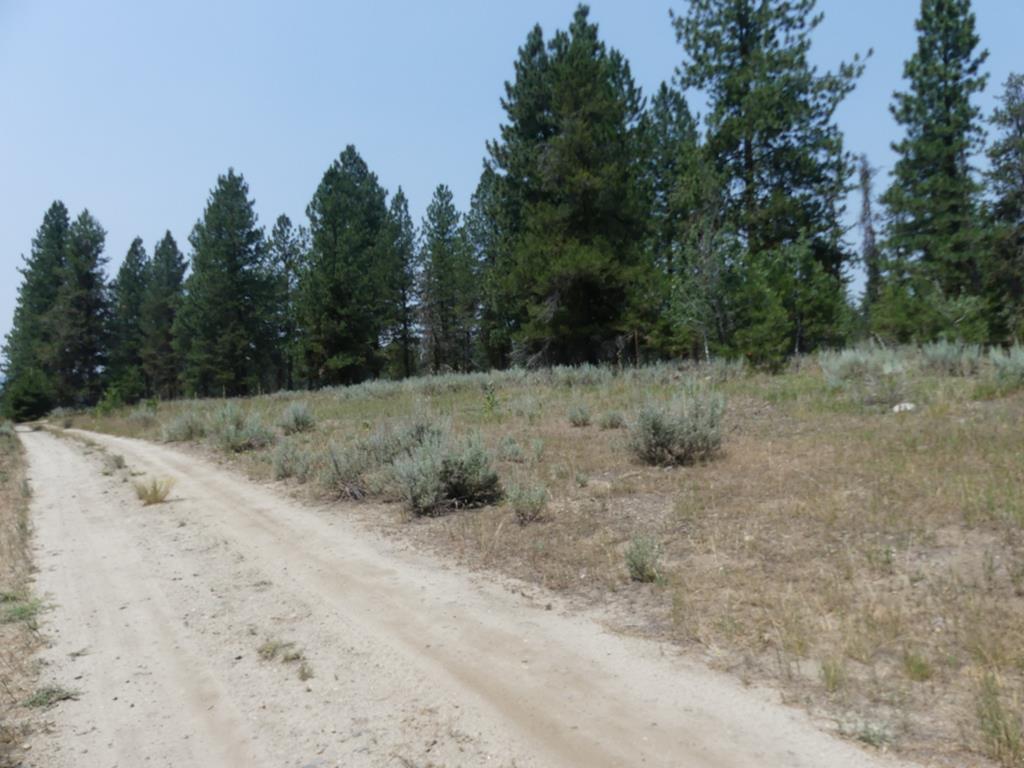 McCall, Idaho, 83638, United States, ,Land,For Sale,2005964
