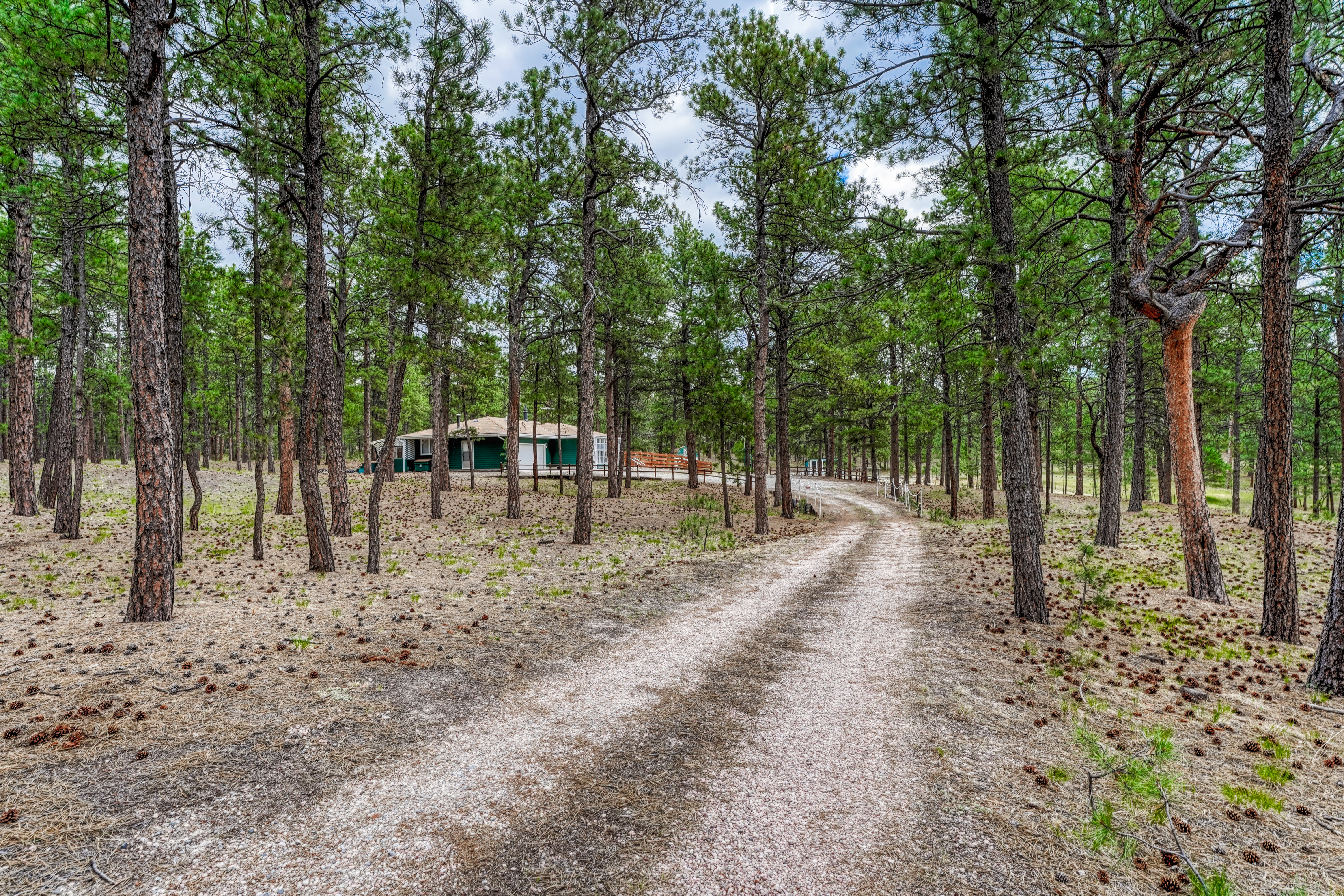  Meticulously maintained ranch-style home in sought-after Black Forest - 物件實景