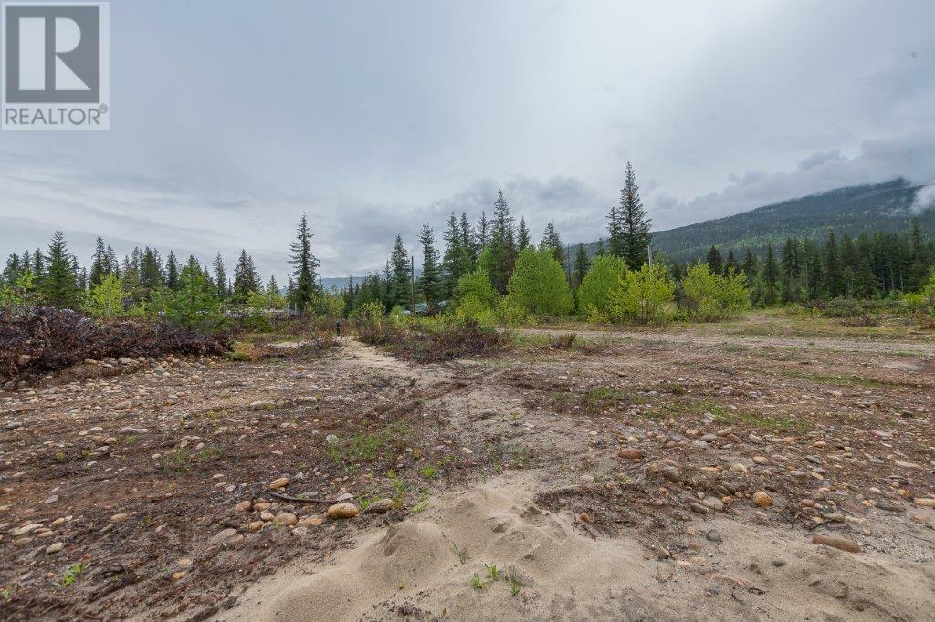 MALAKWA, British Columbia, V0E 2J0, CA, ,Residential,For Sale,1839000