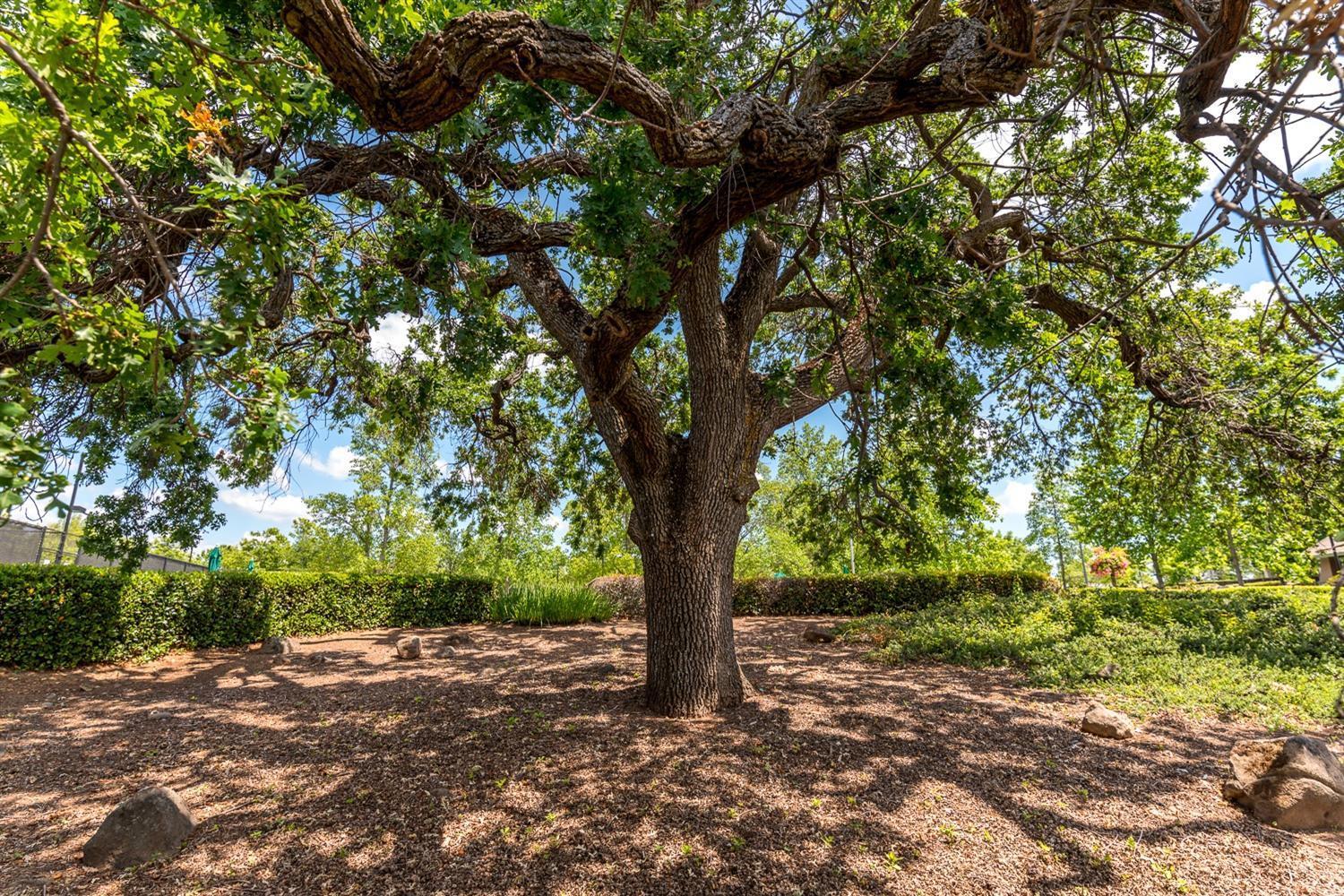 Rocklin, California, 95765, United States, 2 Bedrooms Bedrooms, ,2 BathroomsBathrooms,Residential,For Sale,2006294