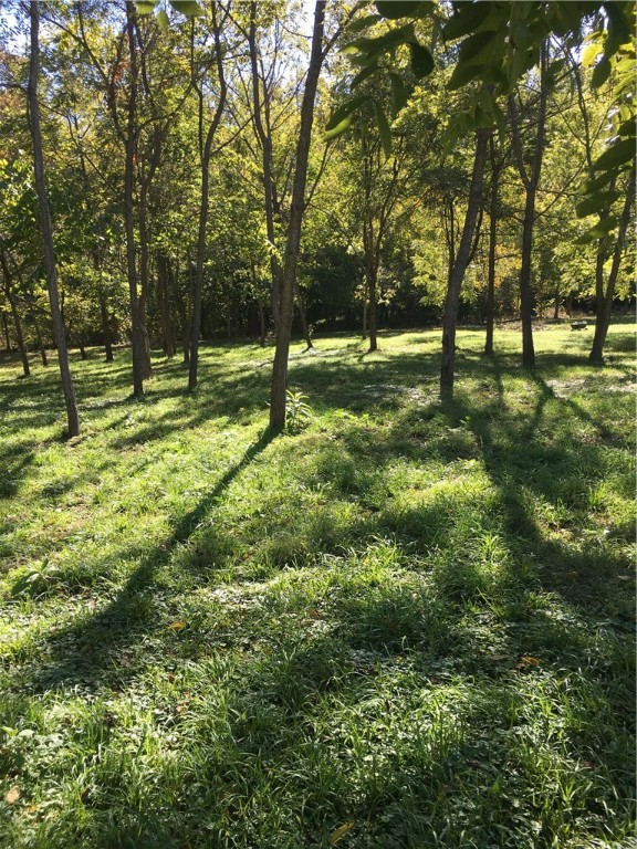 821 Puppy Creek Road, Lowell, Arkansas, 72745, United States, ,Land,For Sale,821 Puppy Creek Road,1673230