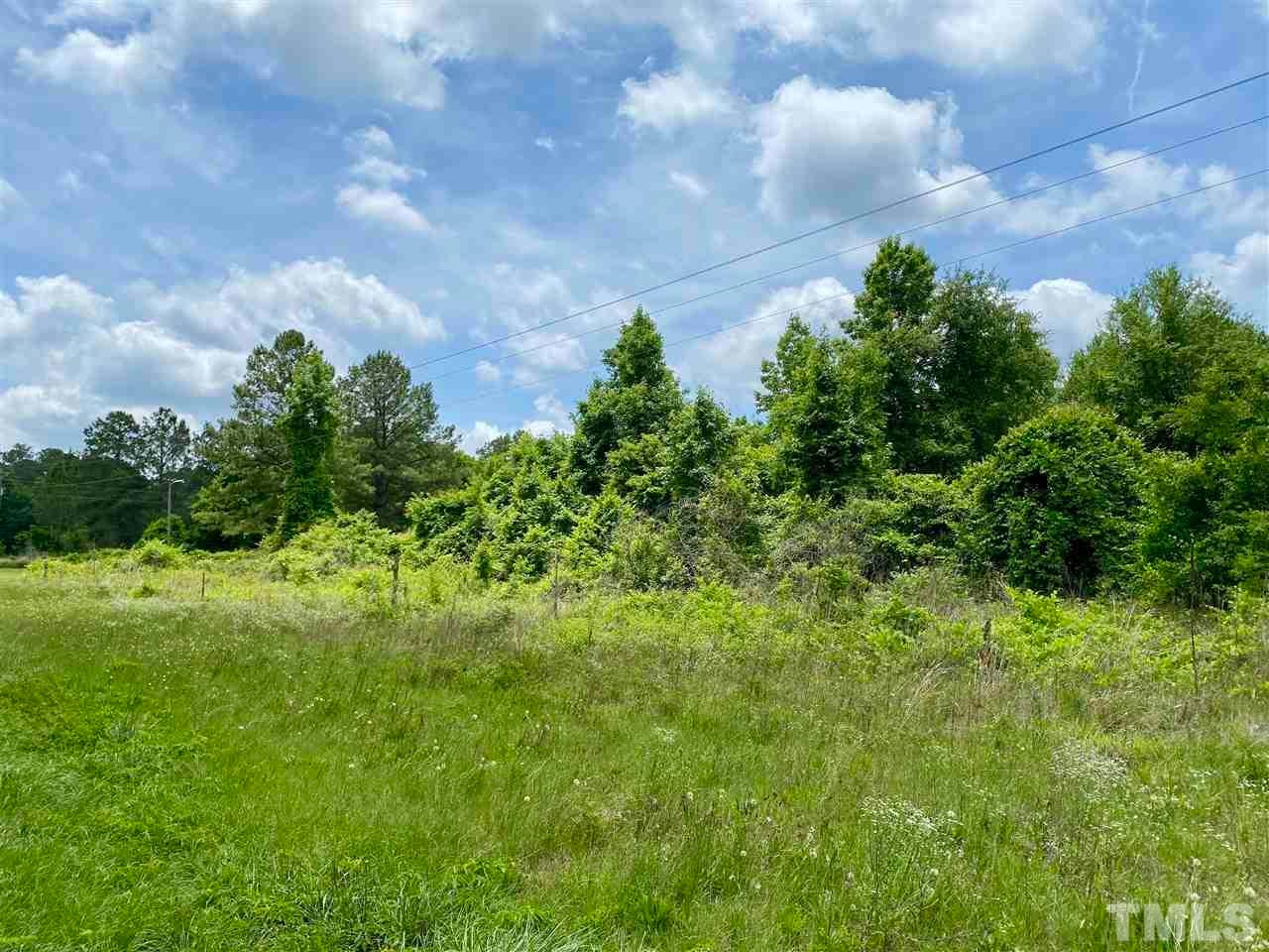 0 devils racetrack RD, Four Oaks, North Carolina, 27524, United States, ,Land,For Sale,0 devils racetrack RD,1432229