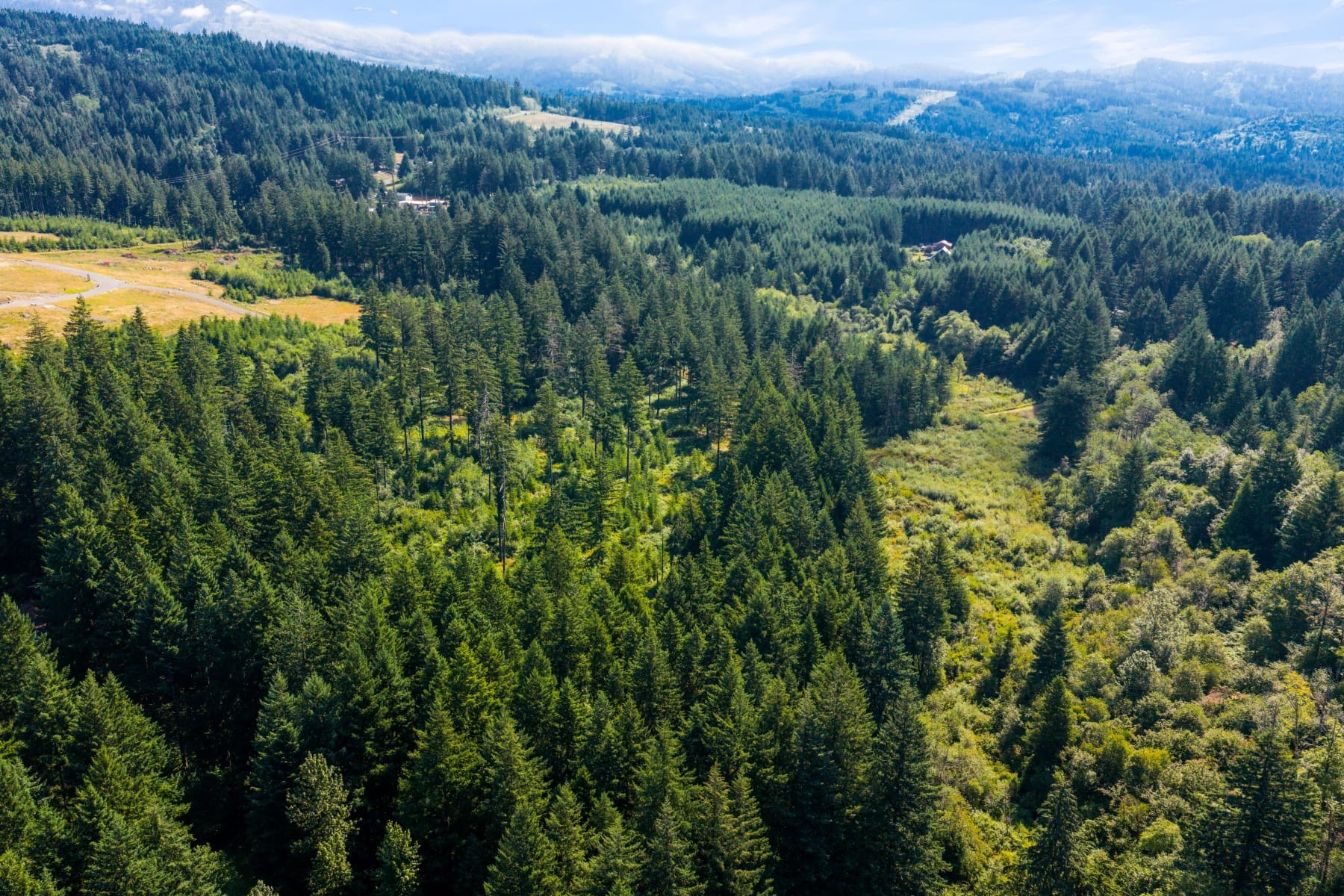  3832 NE CAVITT RD Camas, WA 98607 - 物件實景